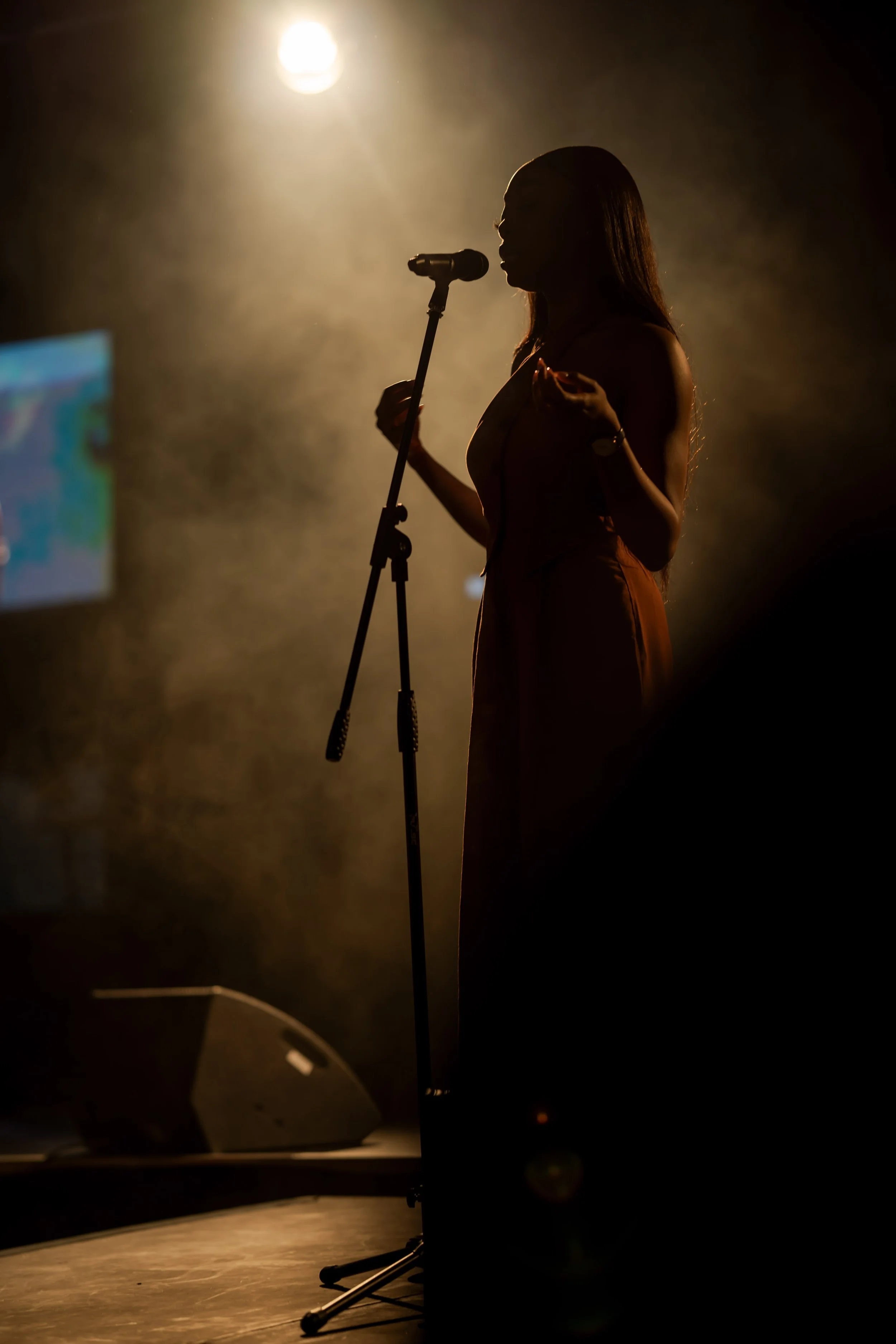 A silhouette of a woman singing into a microphone on a stand, on a stage with a bright light behind her, creating a dramatic and moody atmosphere.