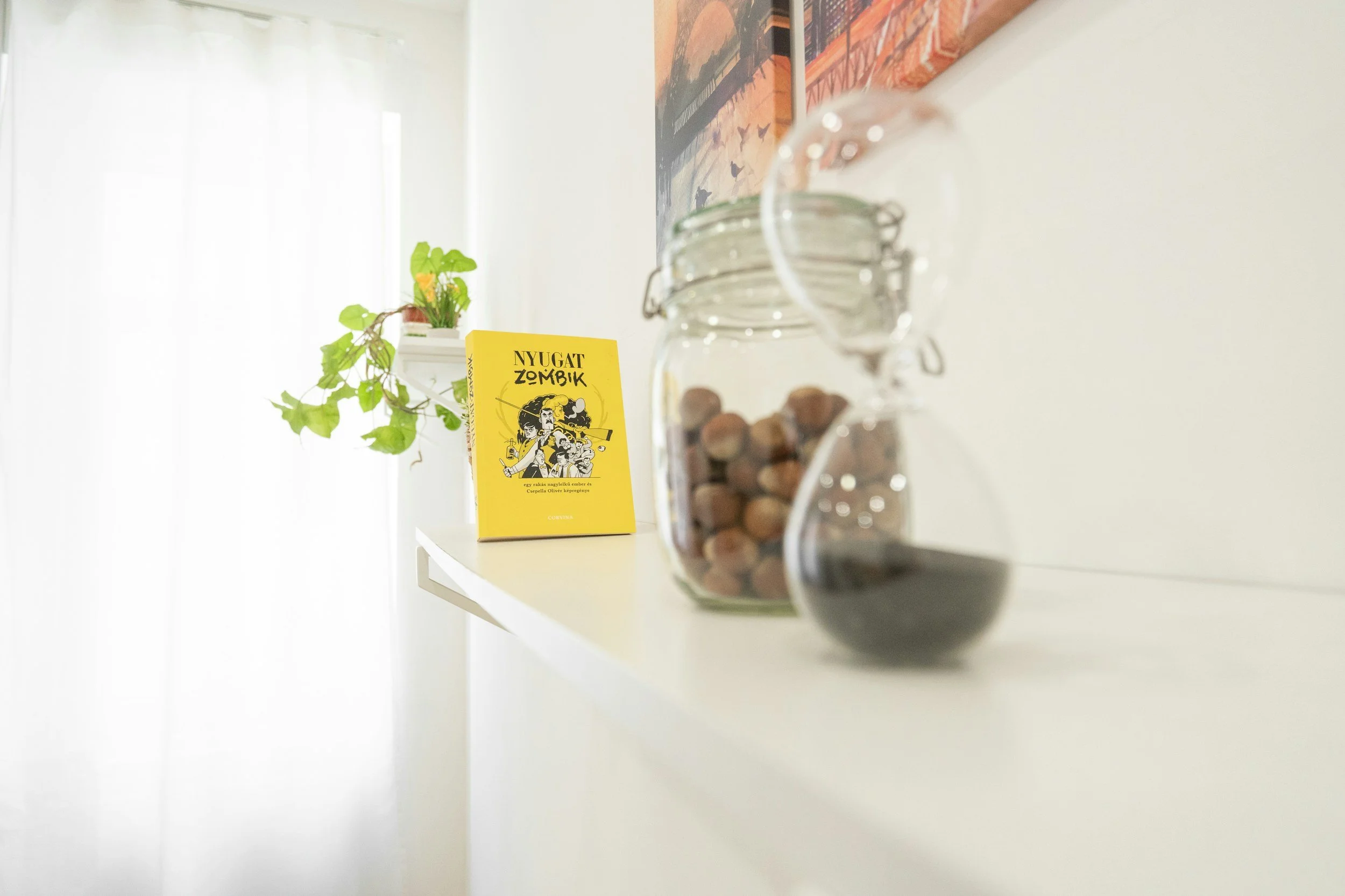 Shelf with potted plant, yellow book titled "NYUGAT ZOMBIAK," glass jar with nuts, and a glass pitcher with dark liquid