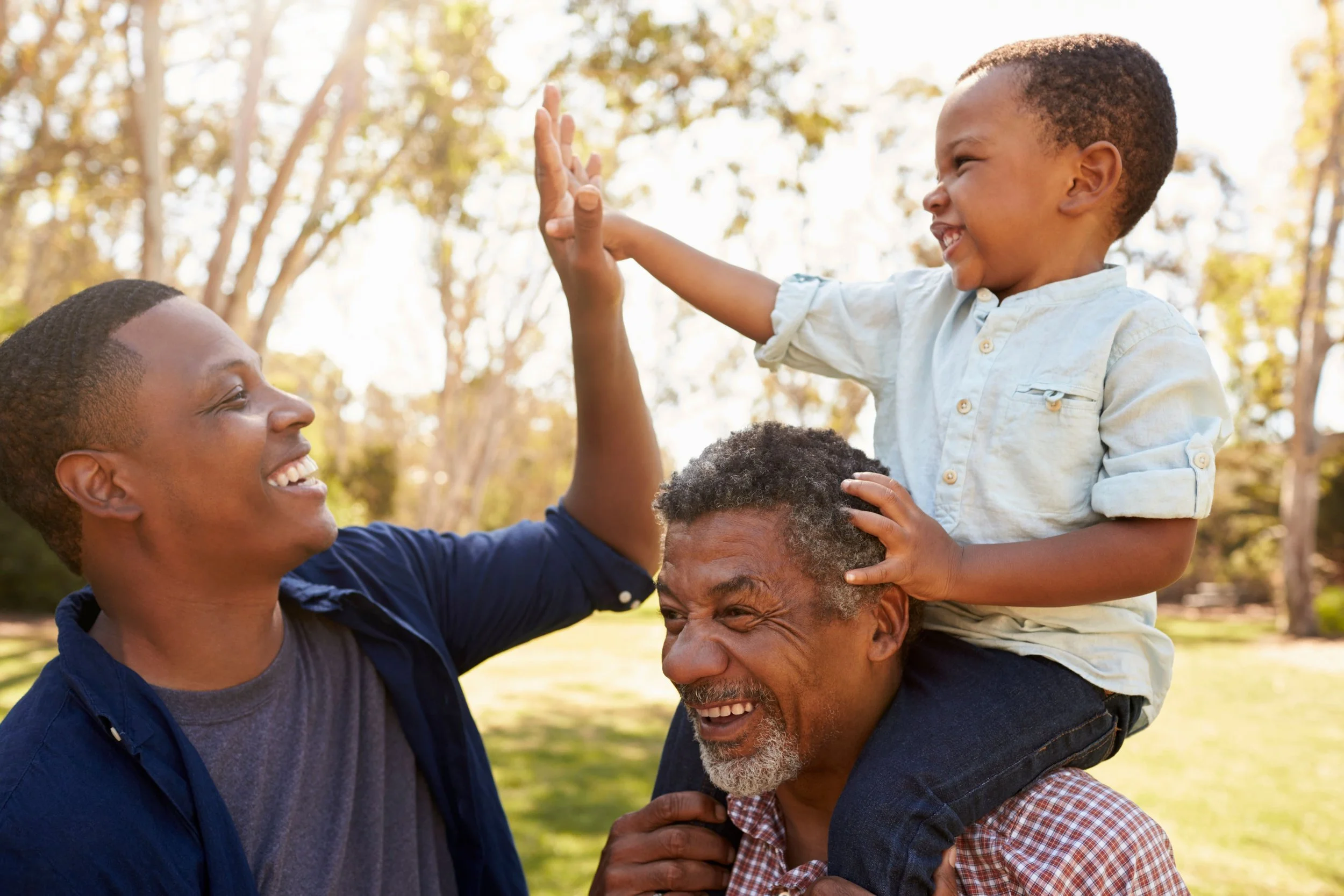 Aging Gracefully in a Complicated Healthcare System