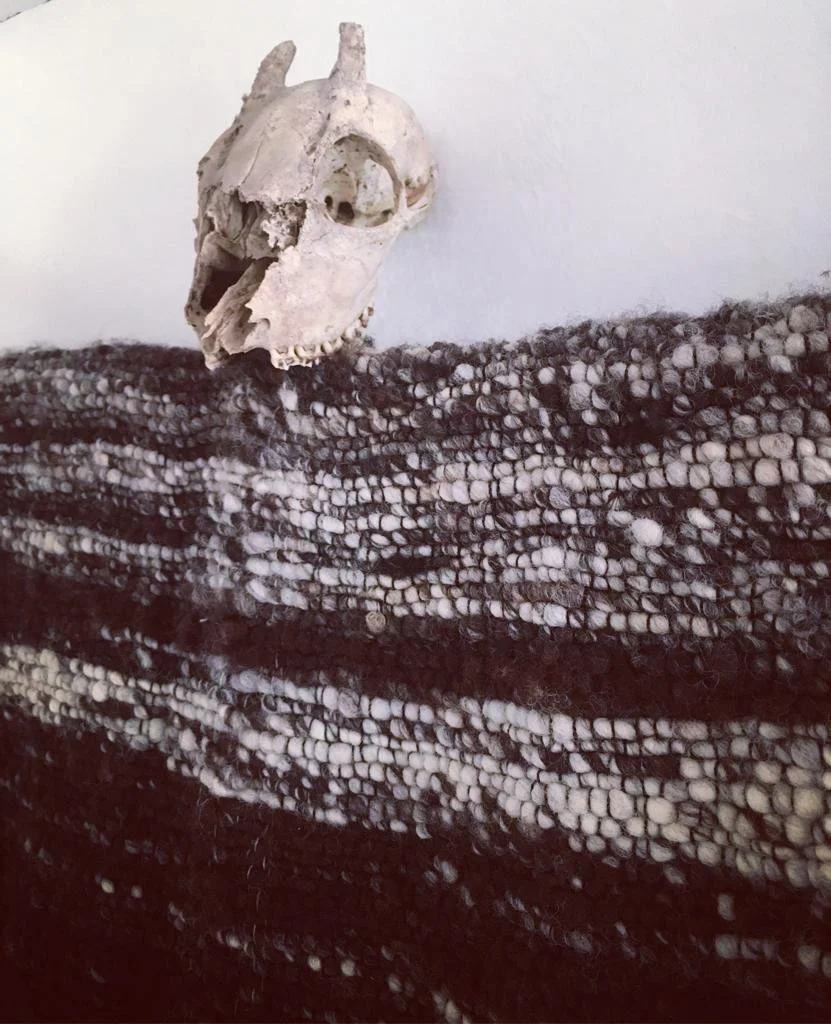 Beautiful bones (1).jpg