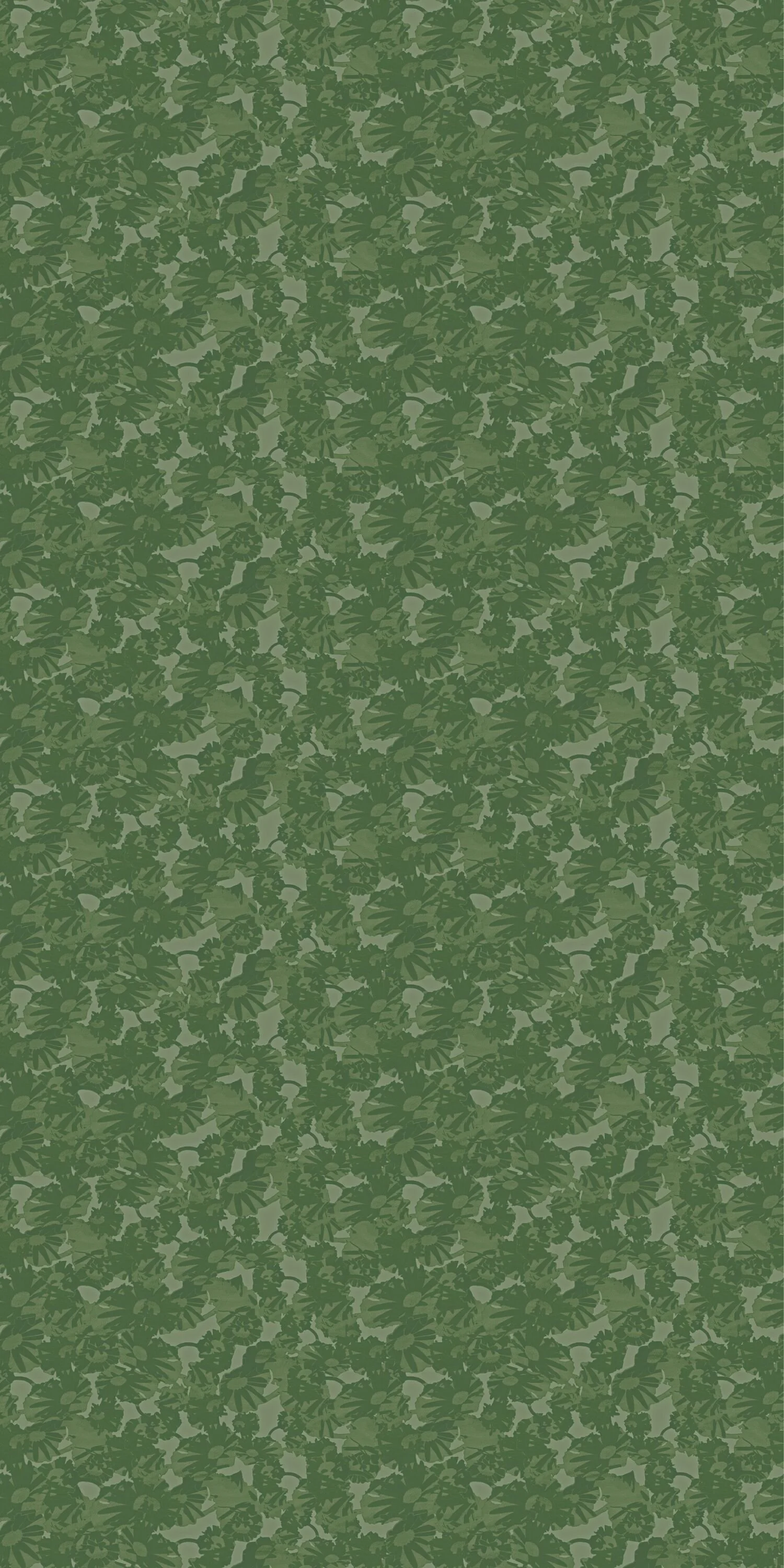 Flora
