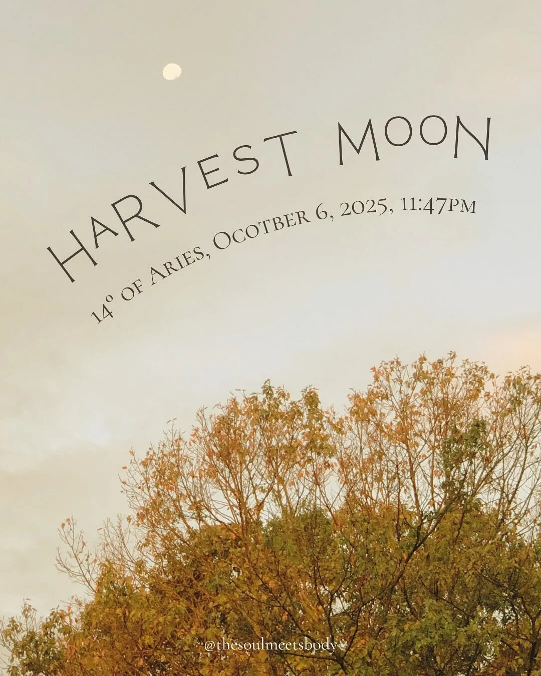 The Harvest Full Moon in Aries reminds us that strength is about trusting ourselves.

With the Moon in Gate 21, we feel the urge to lead, manage, and hold everything together.

And with the Sun in Gate 48, we&rsquo;re asked to tap into the depth of o