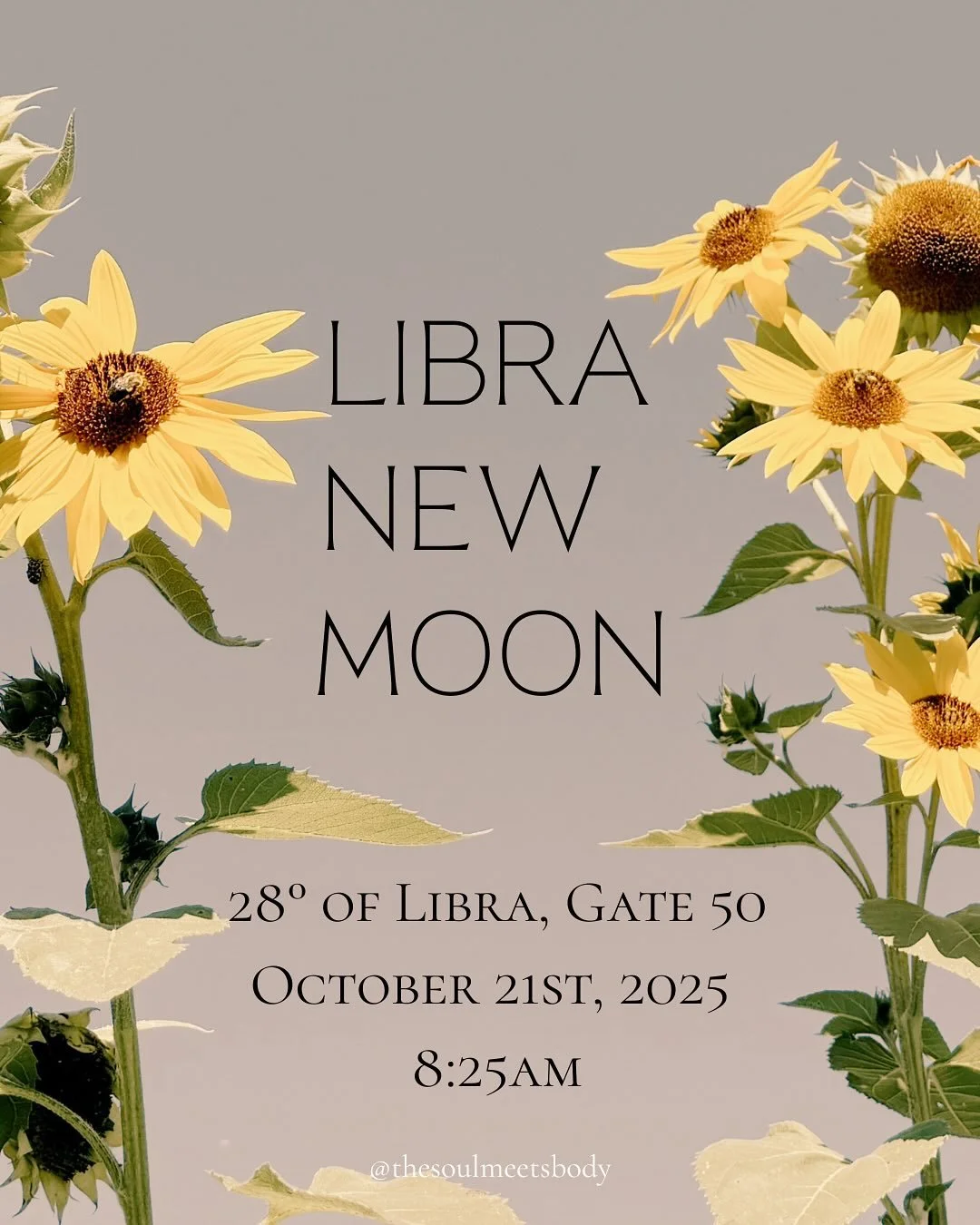 ✨ Libra New Moon | Gate 50 ✨

This New Moon brings awareness around values, integrity, and responsibility.

Gate 50 &mdash; the Gate of Values &mdash; asks us to examine what we&rsquo;re carrying for others and whether it&rsquo;s truly aligned with o