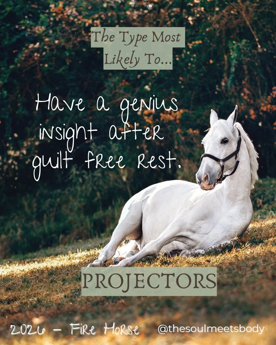 Happy Lunar New Year ✨

With the new moon eclipse in Aquarius happening tomorrow morning, Feb 17th, I&rsquo;m definitely feeling the shift. There&rsquo;s a lot moving energetically right now. I&rsquo;ve noticed a lot of irritability and exhaustion in