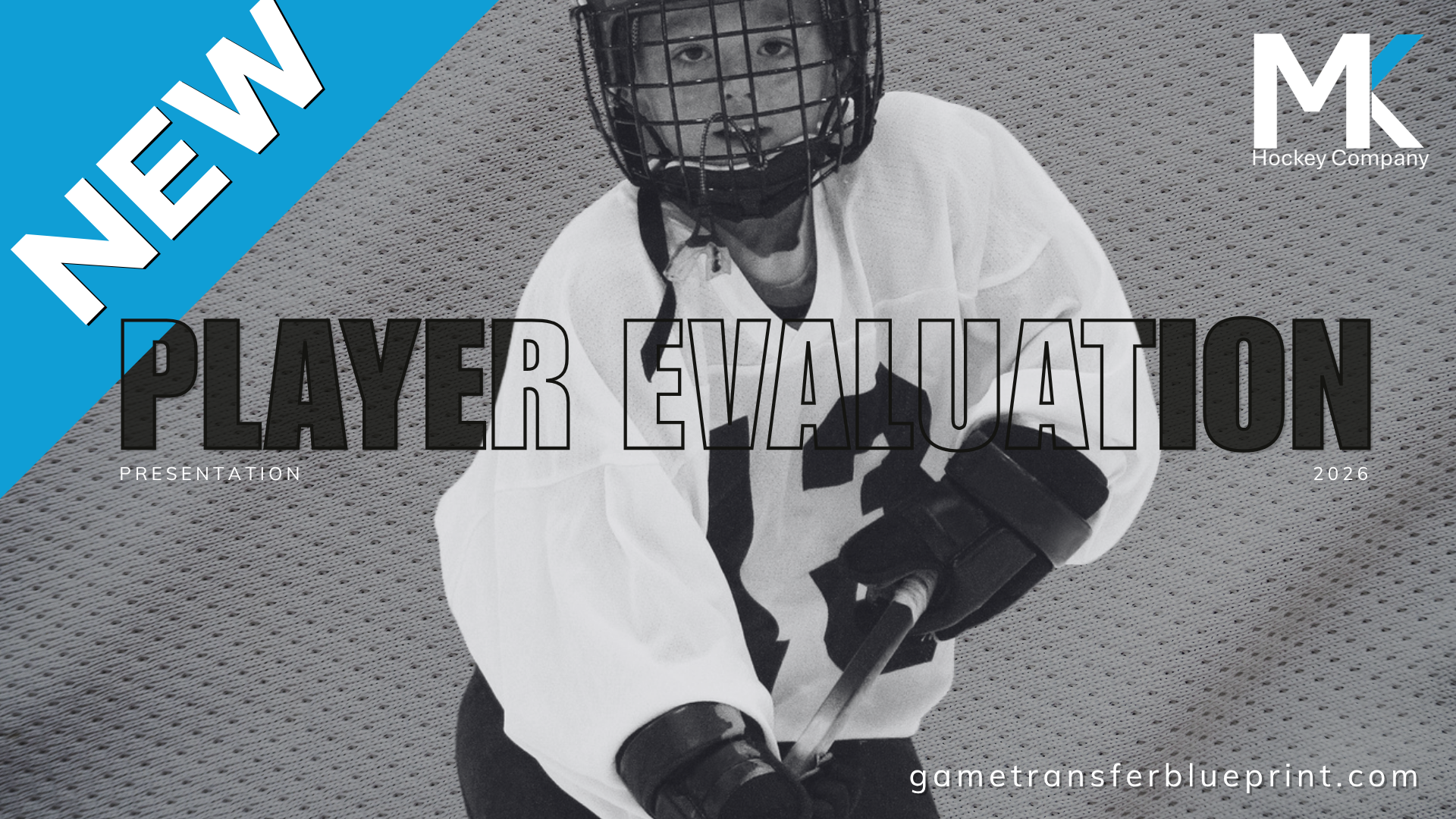 Evaluation Tagging system explained. Skater and Golaie Intagible and Skill priority lists. Only available for subscribers! 