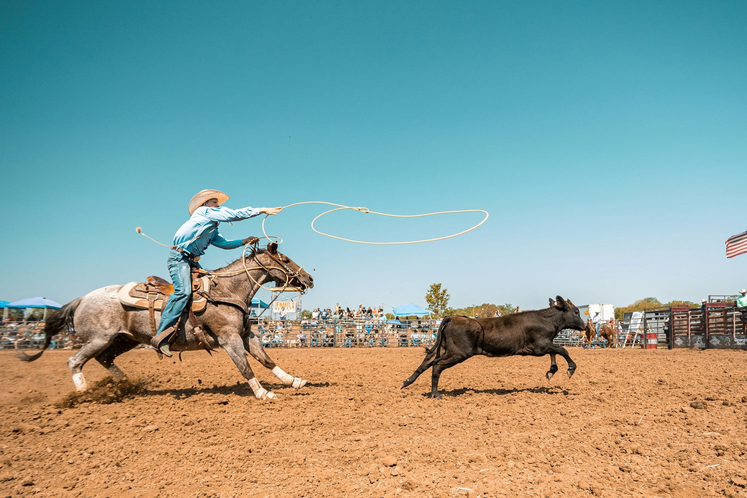 A cowboy in a blue shirt and cowboy hat riding a bucking horse in a rodeo arena, with a lasso in hand and a crowd watching in the background.