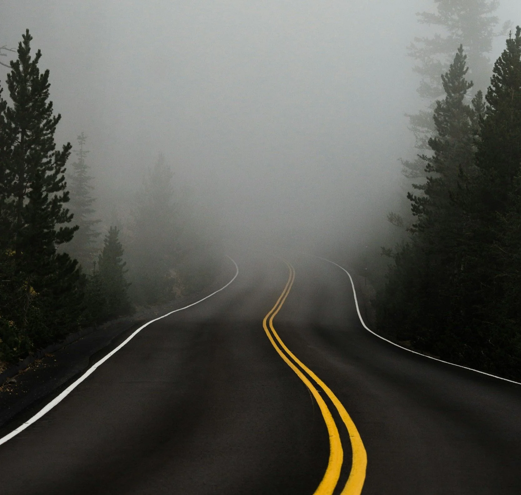 A winding mountain road with double yellow lines in the center, surrounded by pine trees, shrouded in dense fog.