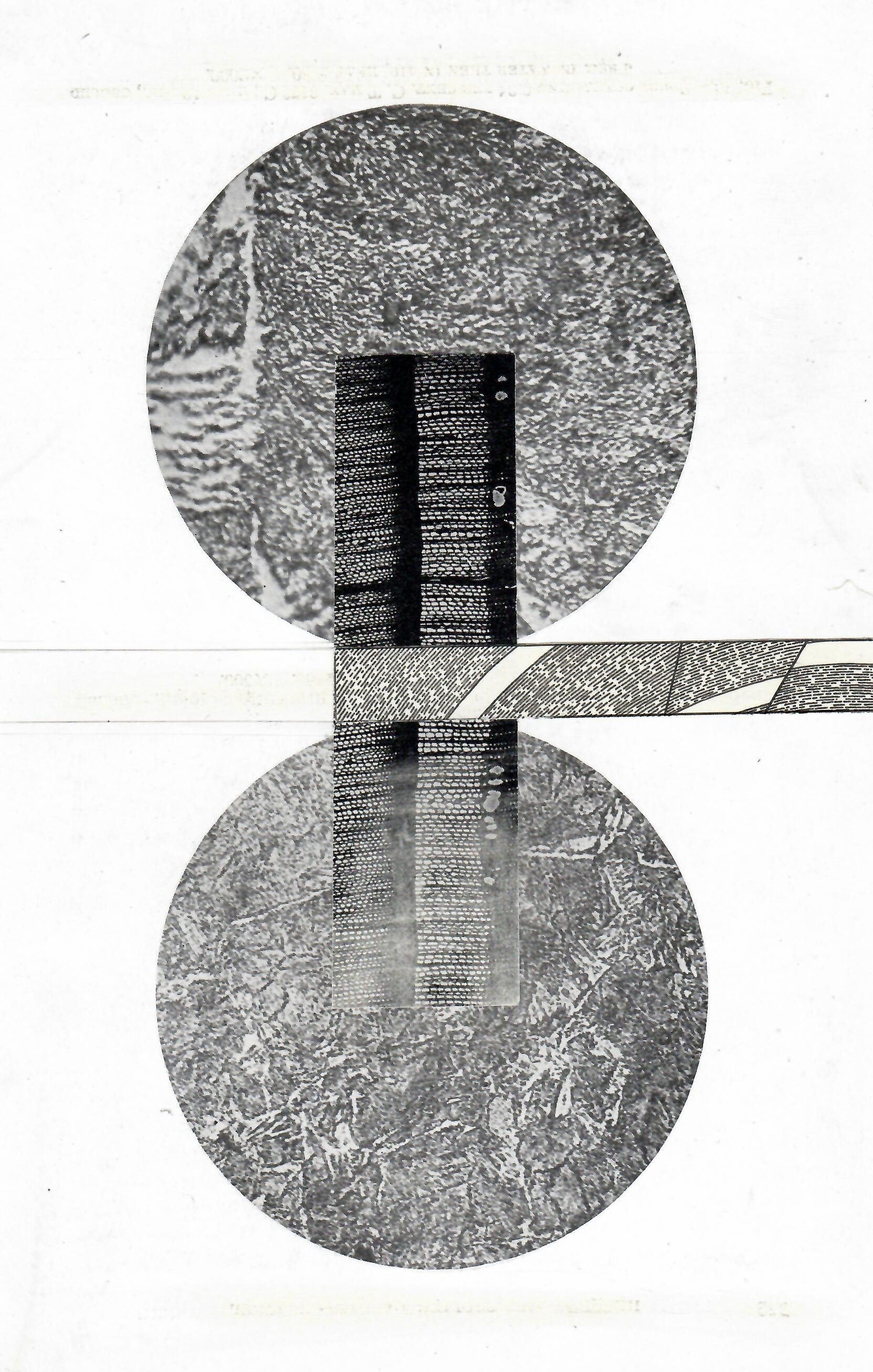 In Water Then in Air 2.jpeg
