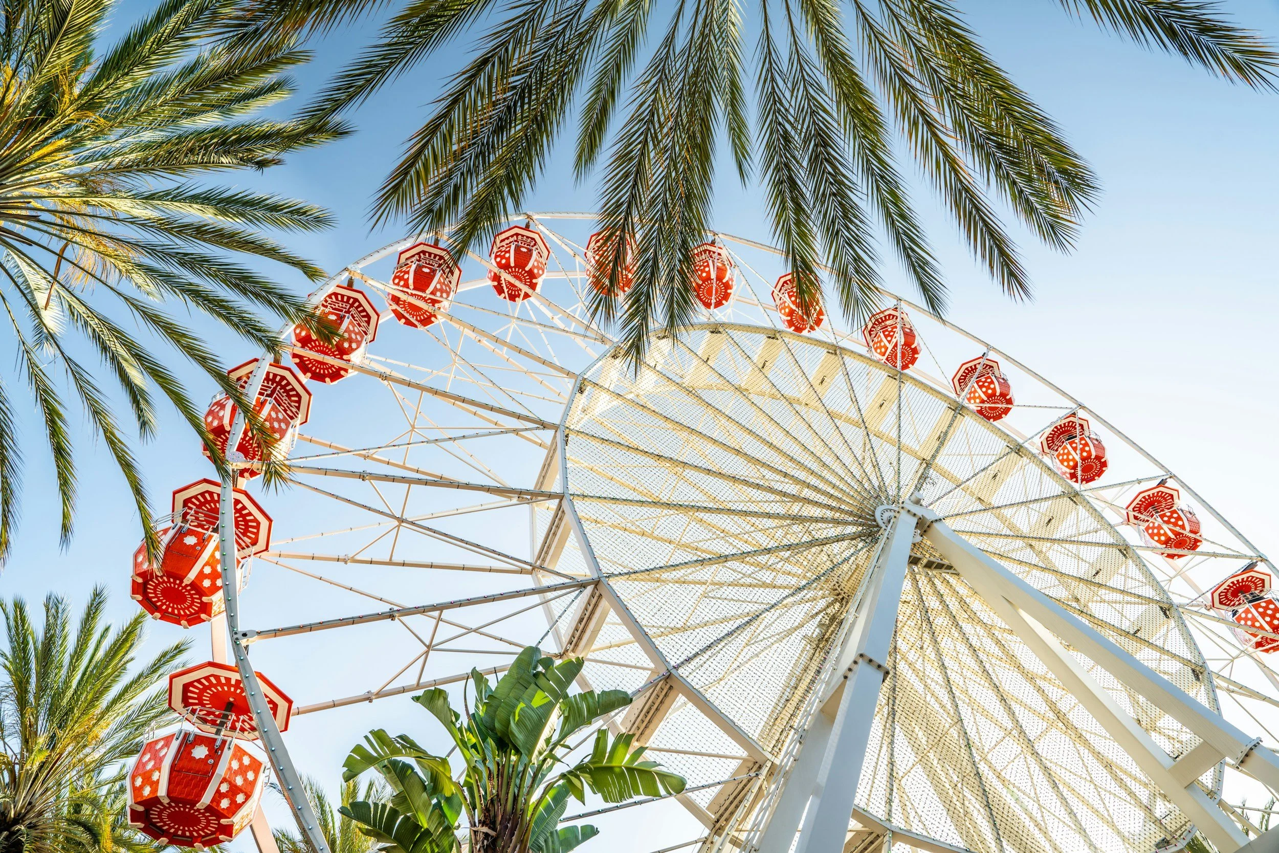 A large Ferris wheel with red gondolas, surrounded by palm trees, under a clear blue sky.