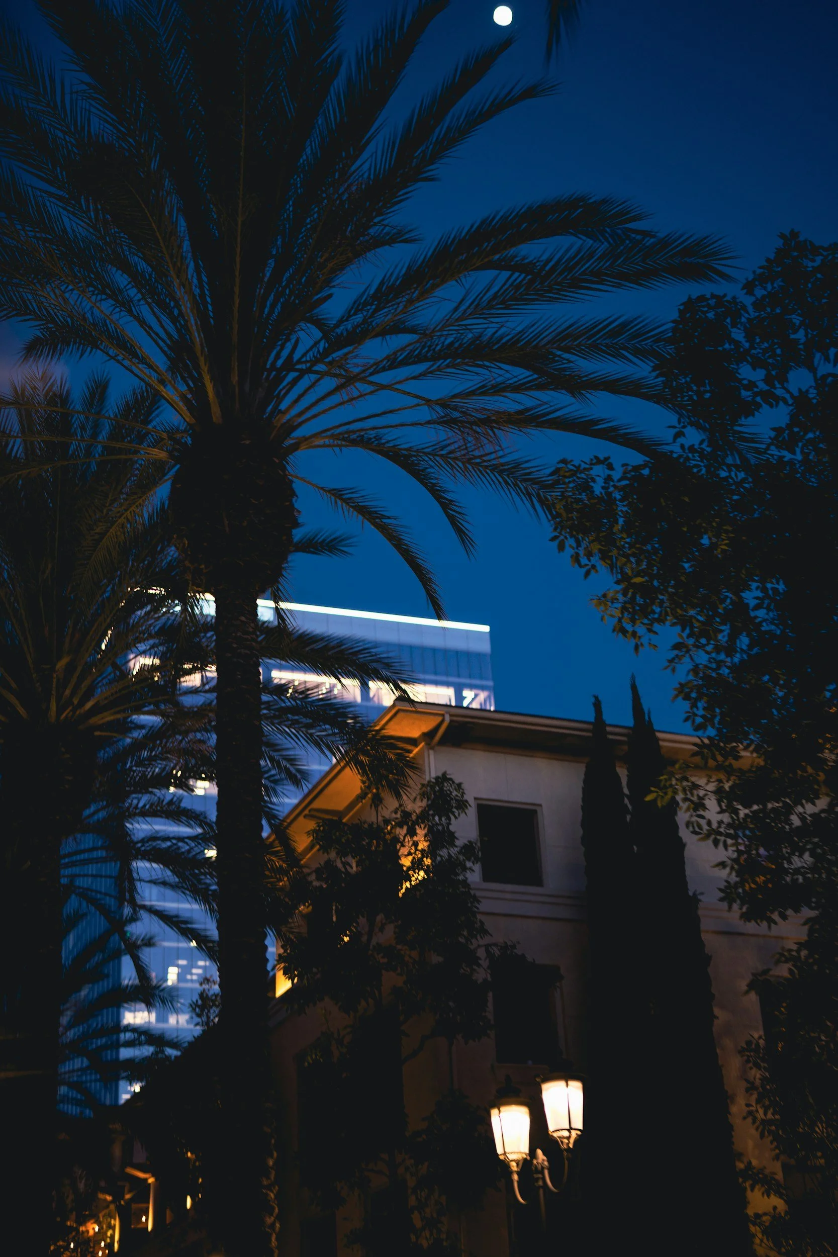 Nighttime scene with palm trees, a building, and lanterns illuminated in the foreground, a modern glass skyscraper in the background, and the moon visible in the dark sky.
