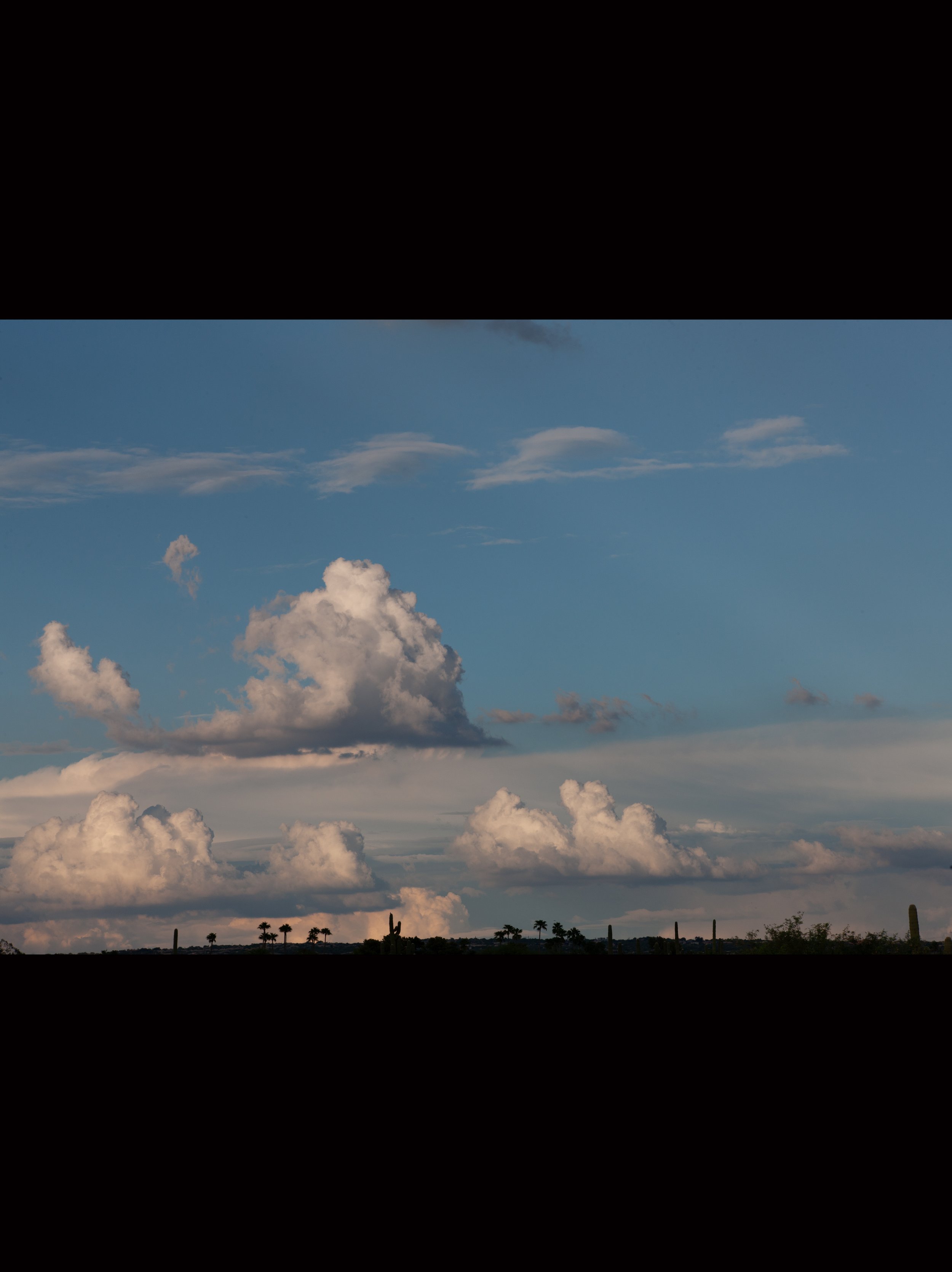 "Arizona Afternoon"