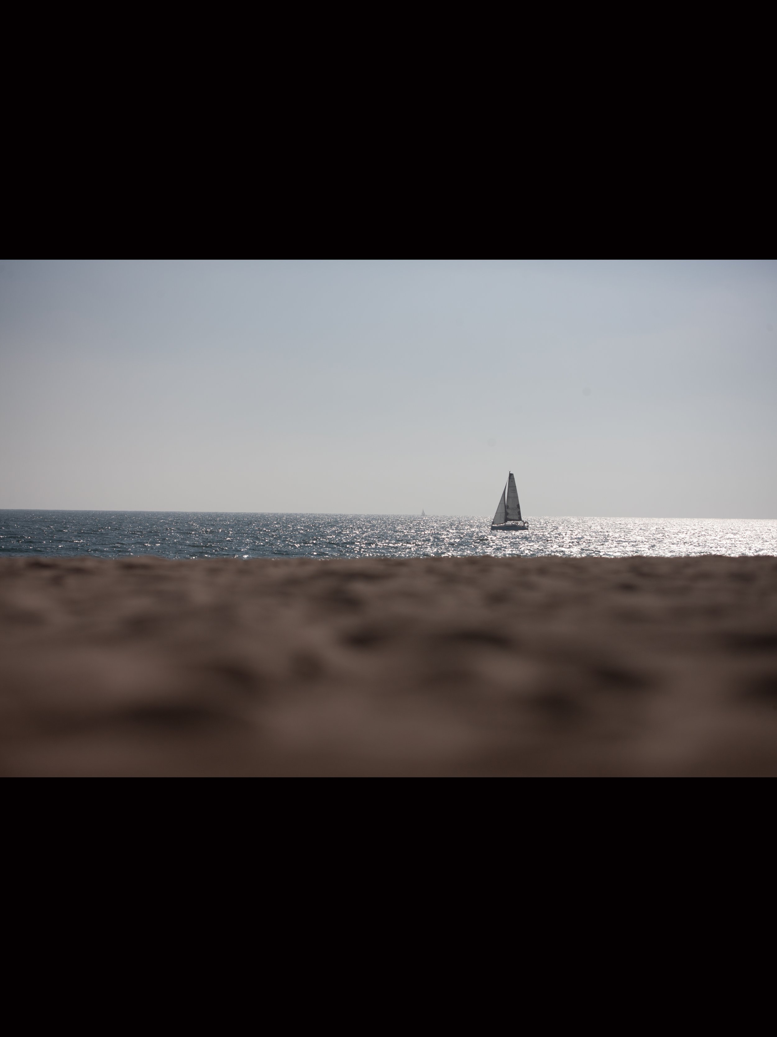 "Marina Del Rey Sailboat #2 on Black"