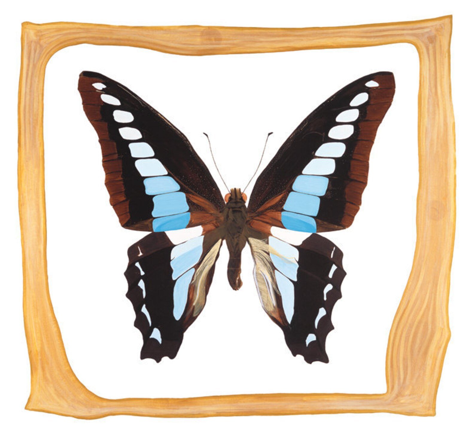 "My Blue Triangle"