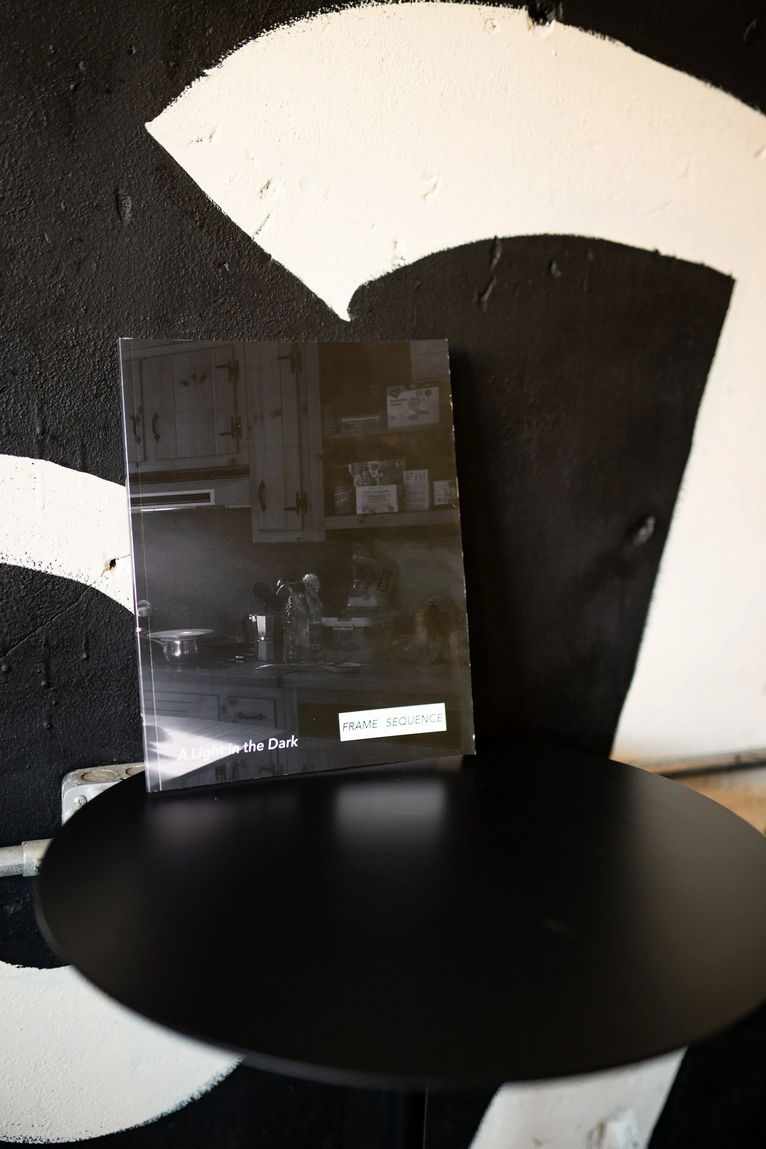FRAME/SEQUENCE / Volume 2 / "A Light in the Dark"