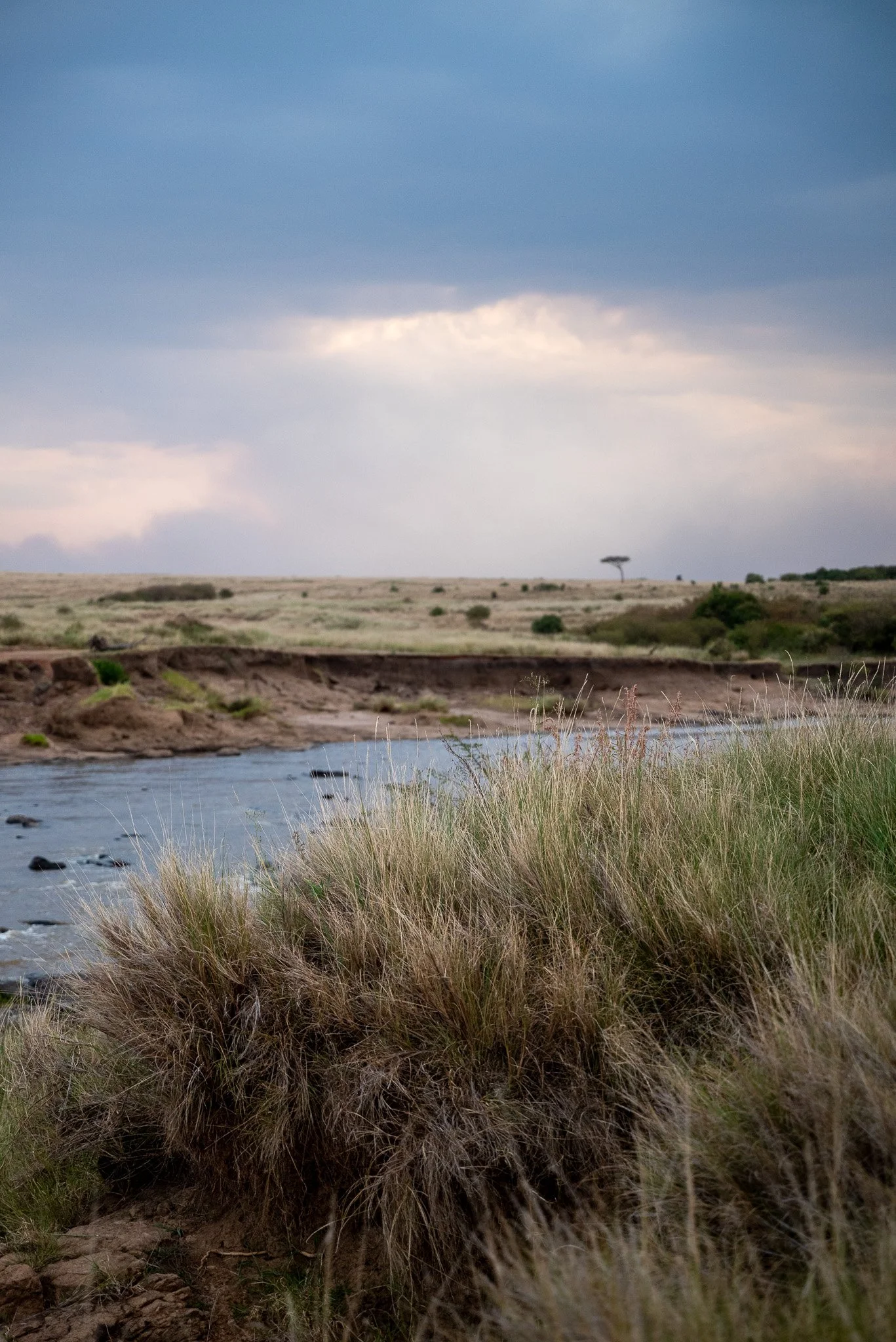 A river flows through a grassy plain with scattered bushes, under a cloudy sky with a lightning storm in the distance. A single tree is visible on the horizon.