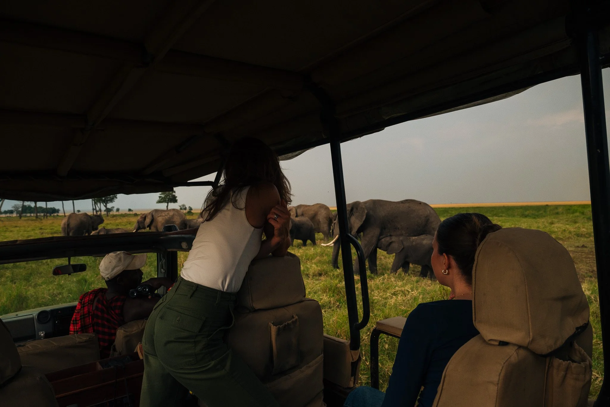 People on an open-air vehicle observing elephants in a grassy plain with trees and a cloudy sky in the background.
