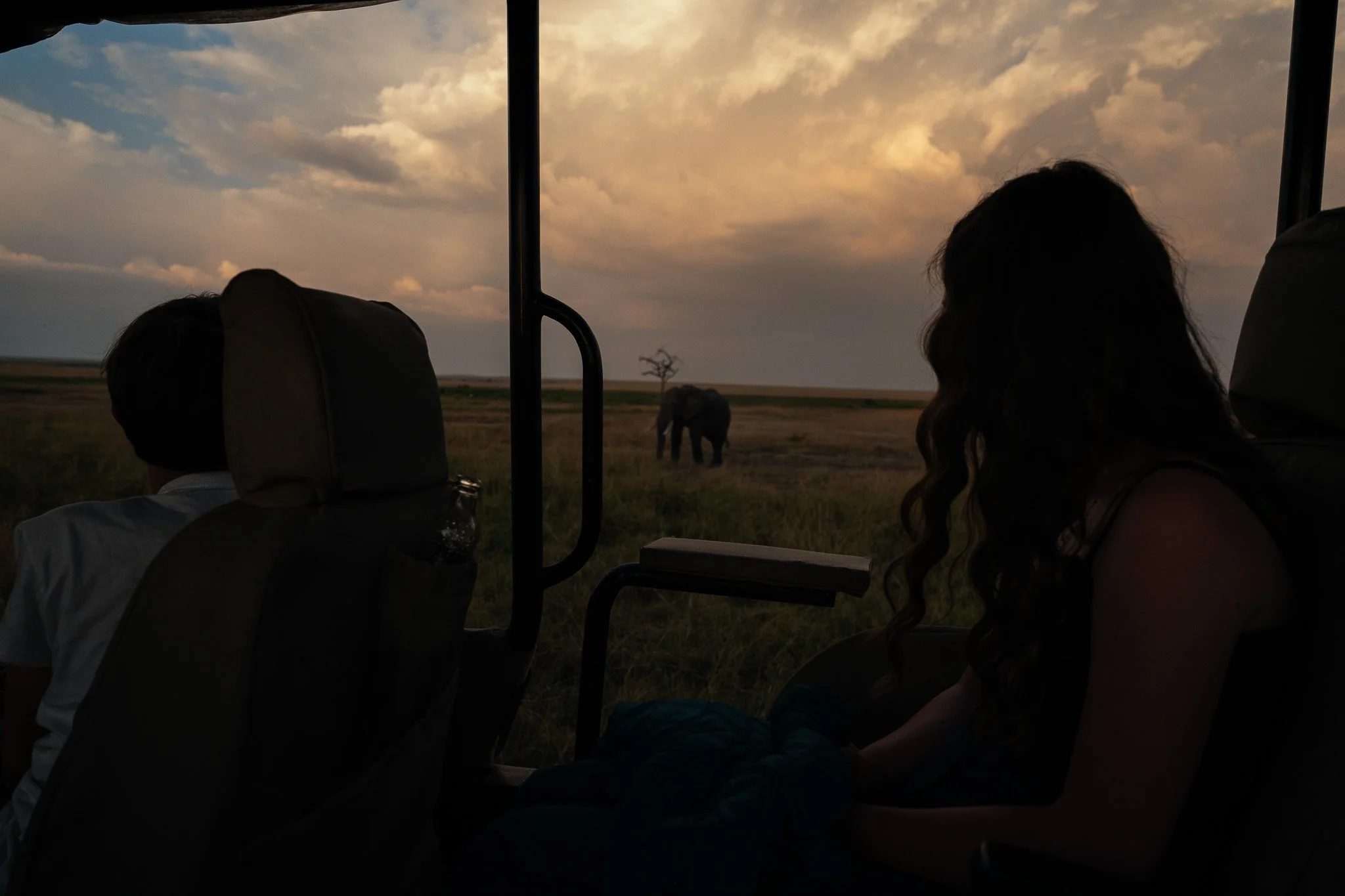 Silhouettes of people sitting inside a vehicle with a view of a savannah landscape, an elephant in the distance, and a cloudy sky at sunset.