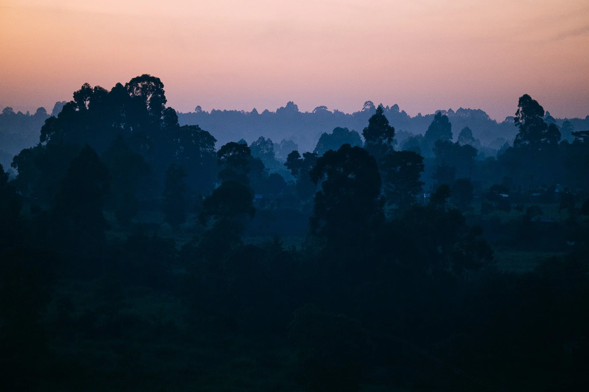A landscape of layers of trees with a pastel pink and purple sky in the background, featuring a gradient from light pink to soft purple hues. Kenya