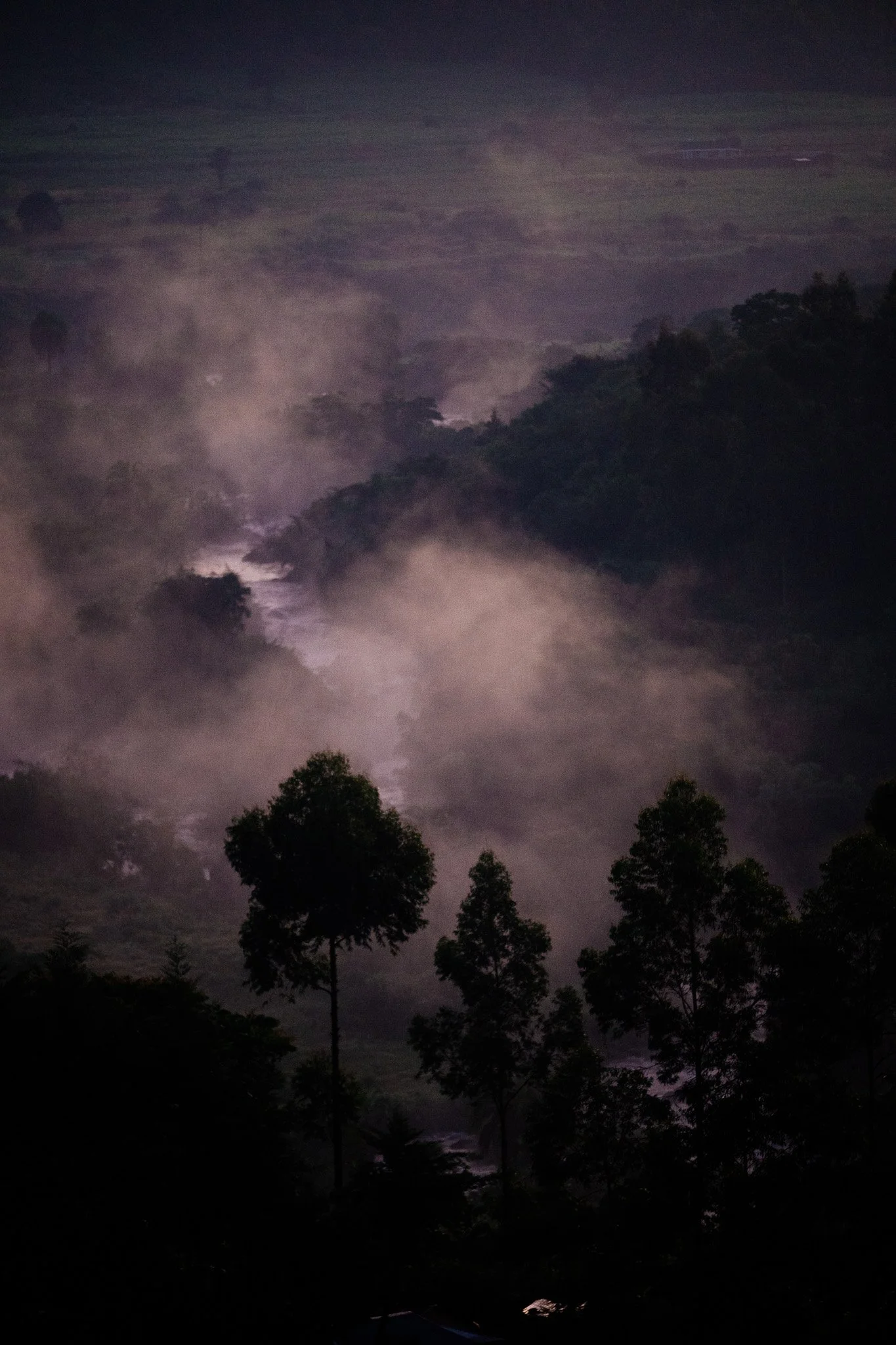 A nighttime landscape with dark silhouettes of trees in the foreground, fog or mist among the trees, and a dark sky above. Kenya