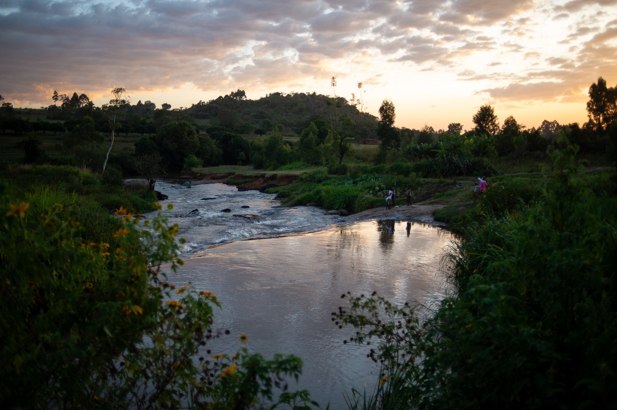 A landscape scene of a river flowing through a green valley with trees on both sides, under a sky with clouds during sunset. Kenya