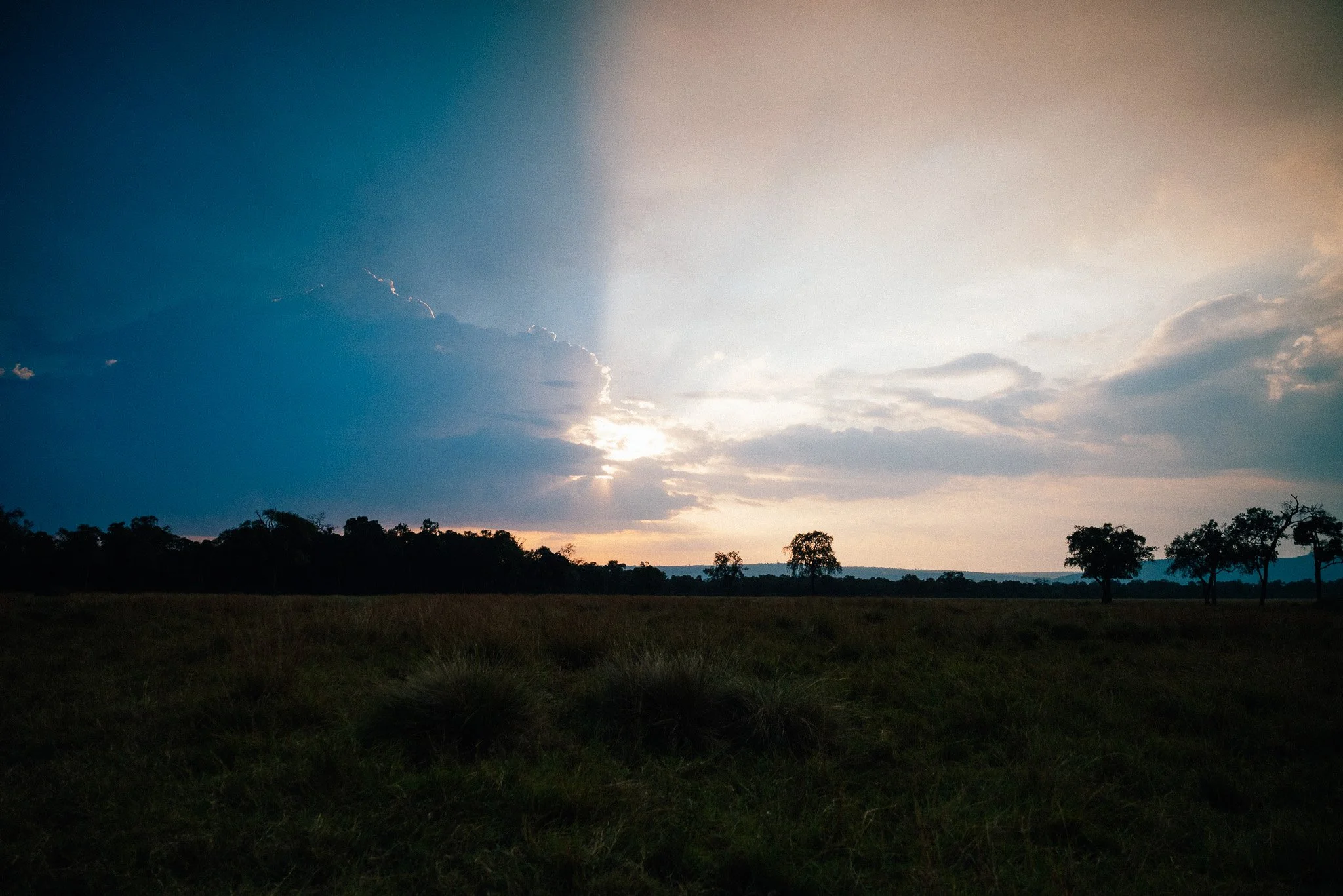 A landscape scene of a grassy field with scattered trees under a partly cloudy sky during sunset or sunrise, with the sun partially hidden behind clouds.