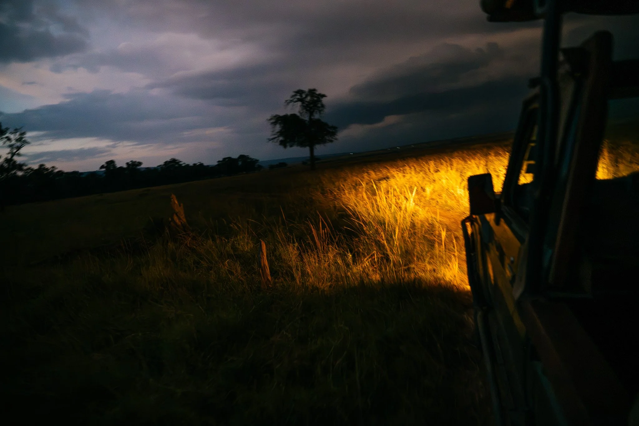 A farm field at dusk with tall grass, a tree in the distance, and clouds in the sky. The photo appears to be taken from the cab of a tractor or similar vehicle, with a bright light illuminating the grass.