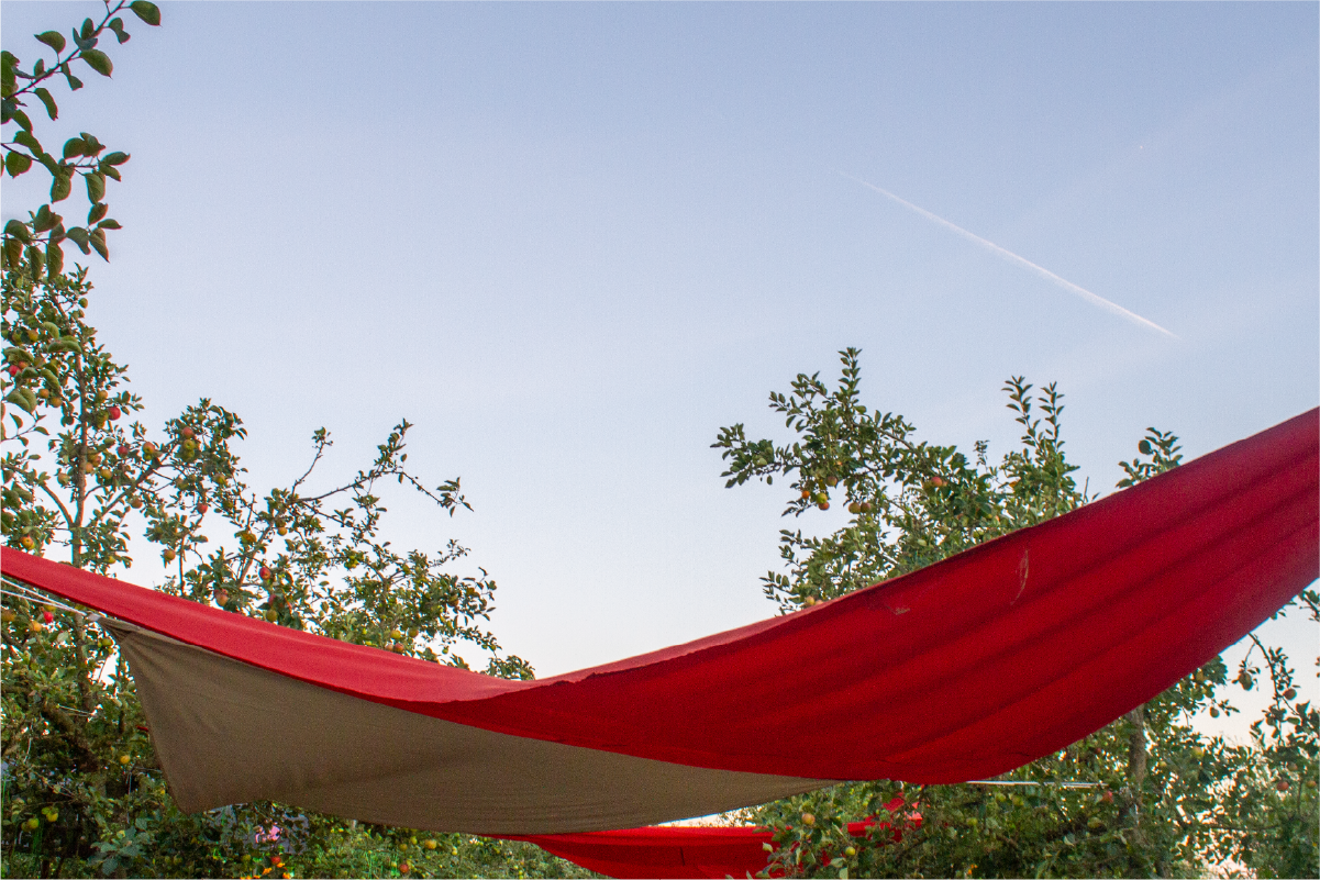 Artboard 1 copy 3.png