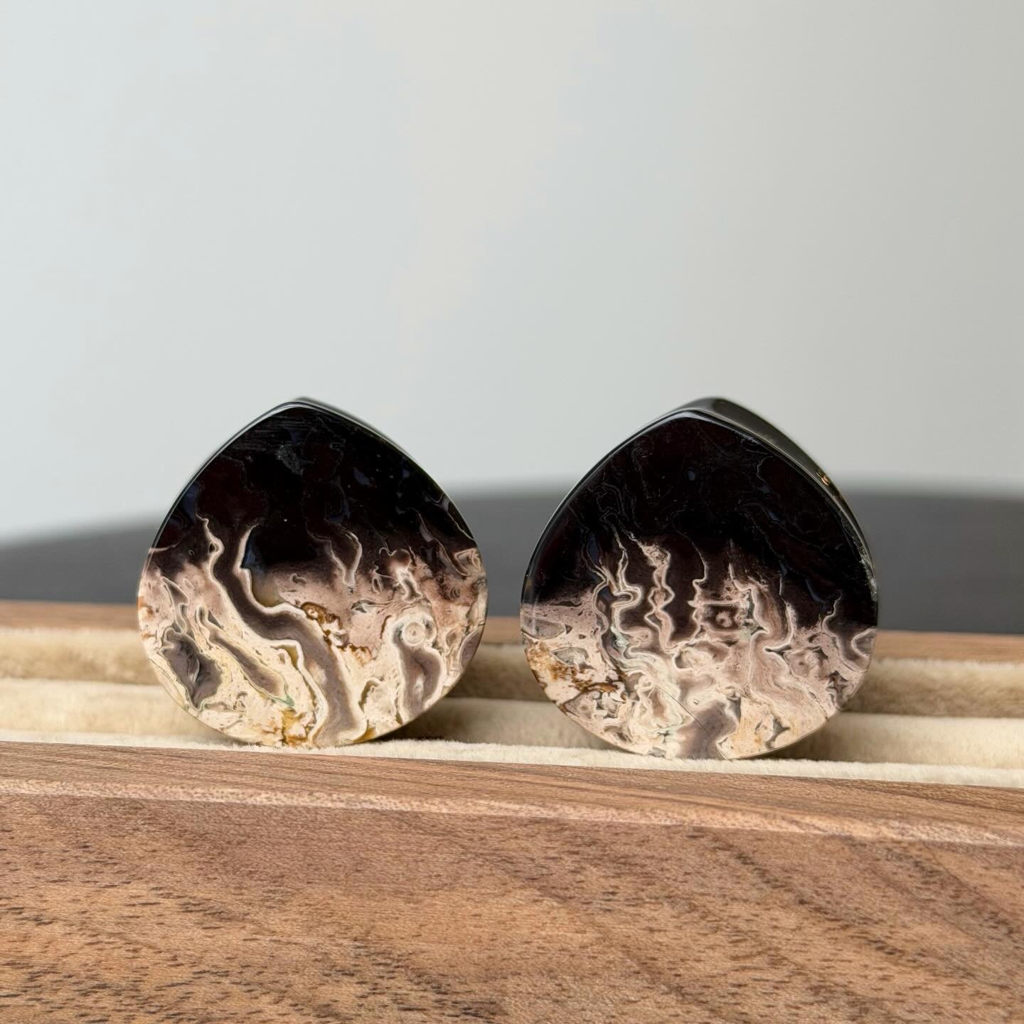 We just got these agatized palm root plugs in for a client from @oraclebodyjewelry and WOW are they gorgeous 🤩