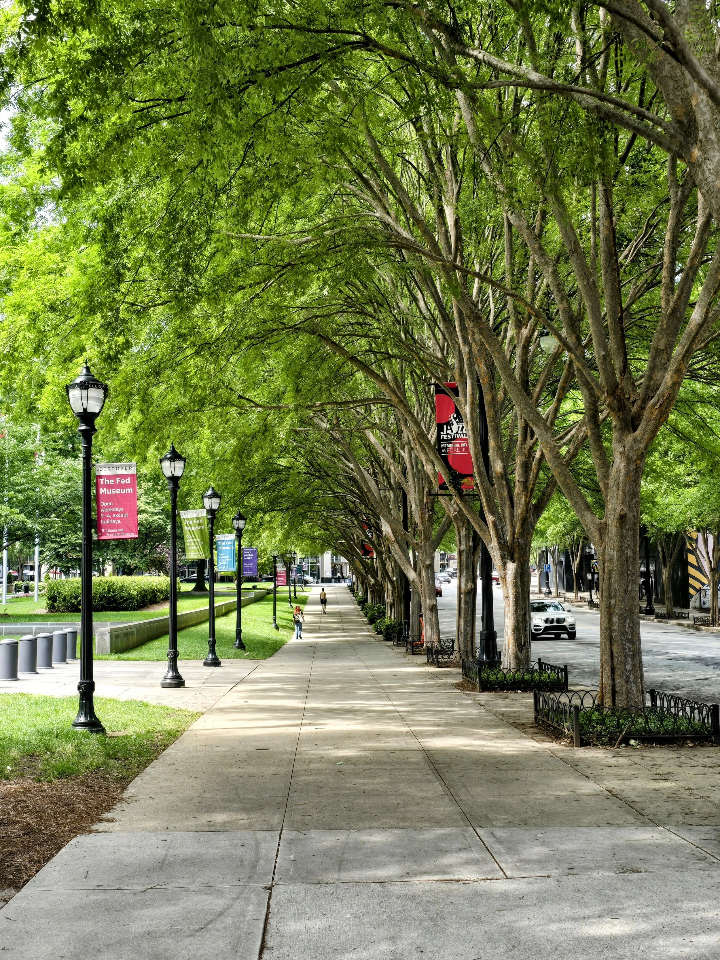 A city sidewalk lined with trees and lamp posts with banners, and a street with cars. There are a few people walking along the sidewalk.