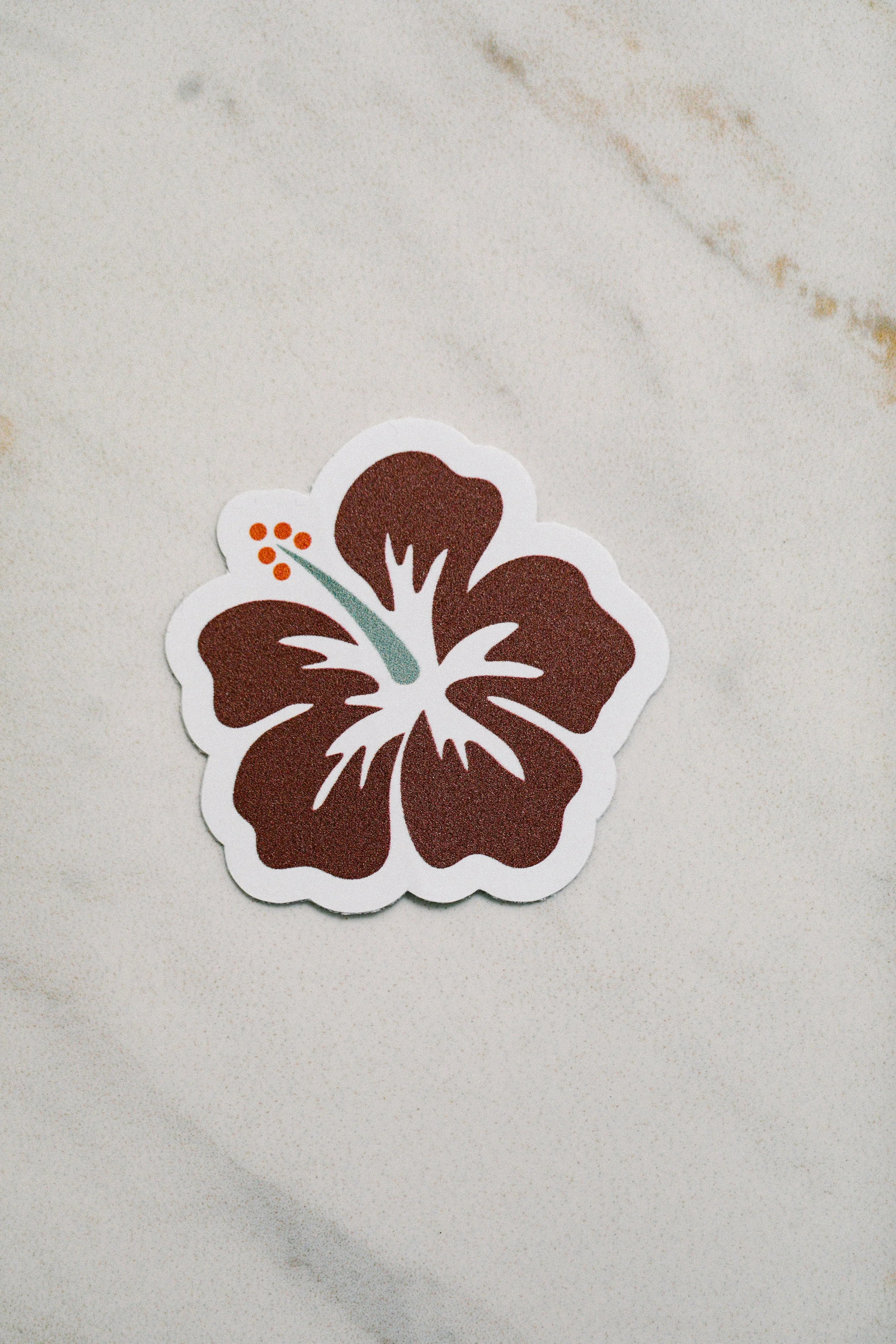 Hibiscus Flower