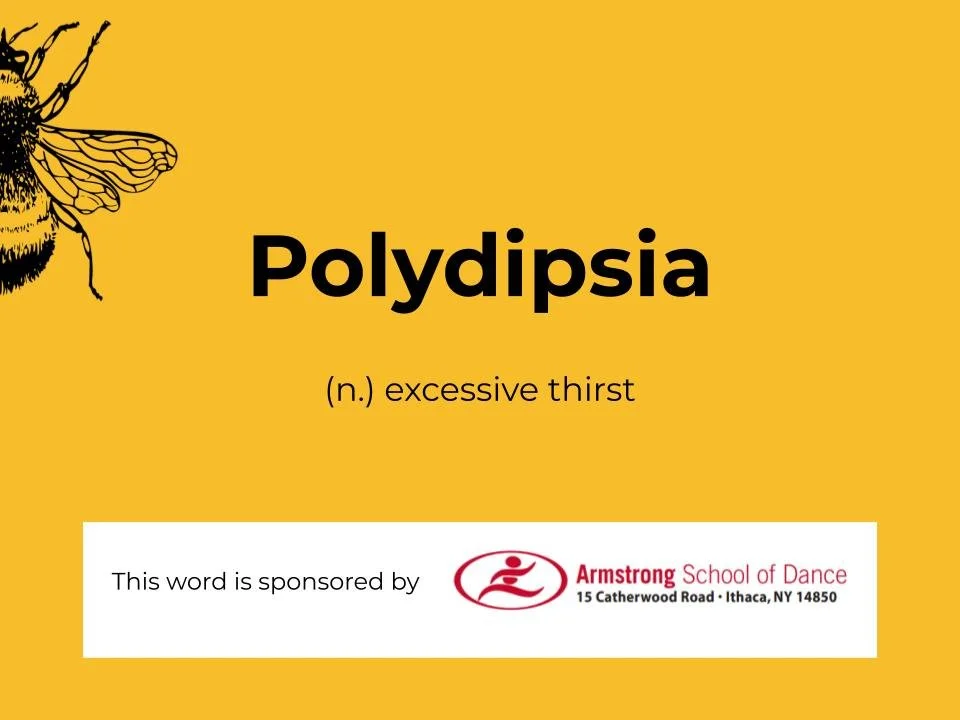 Copy of Spelling Bee 2026 Slidedeck (7).jpg