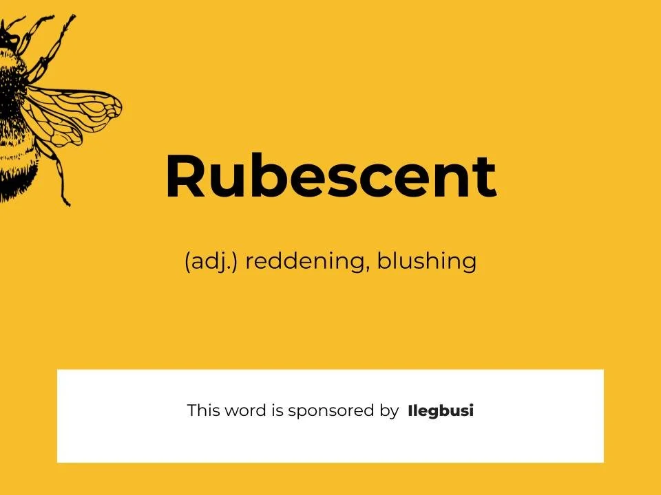 Copy of Spelling Bee 2026 Slidedeck (3).jpg