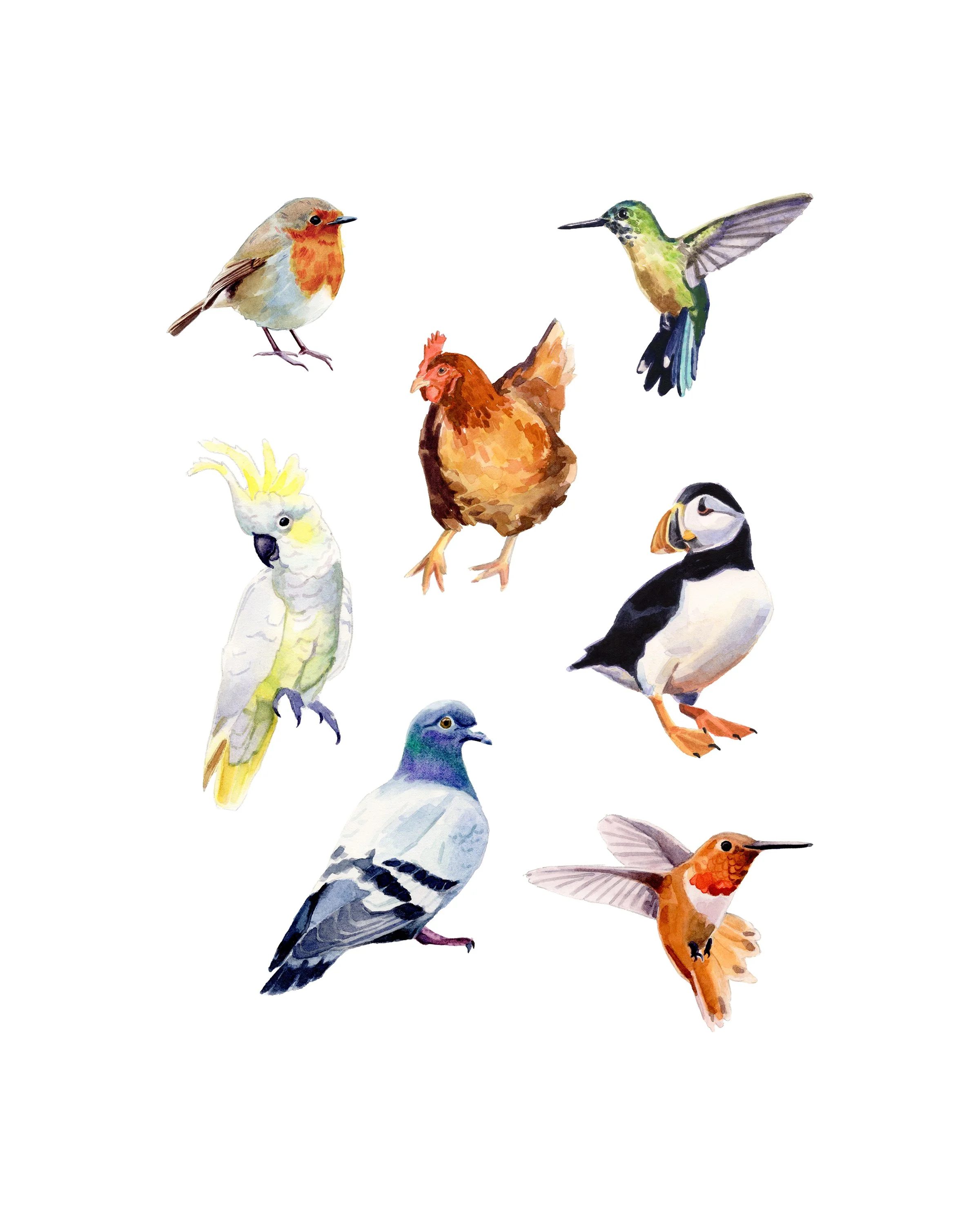 birdprint.jpg