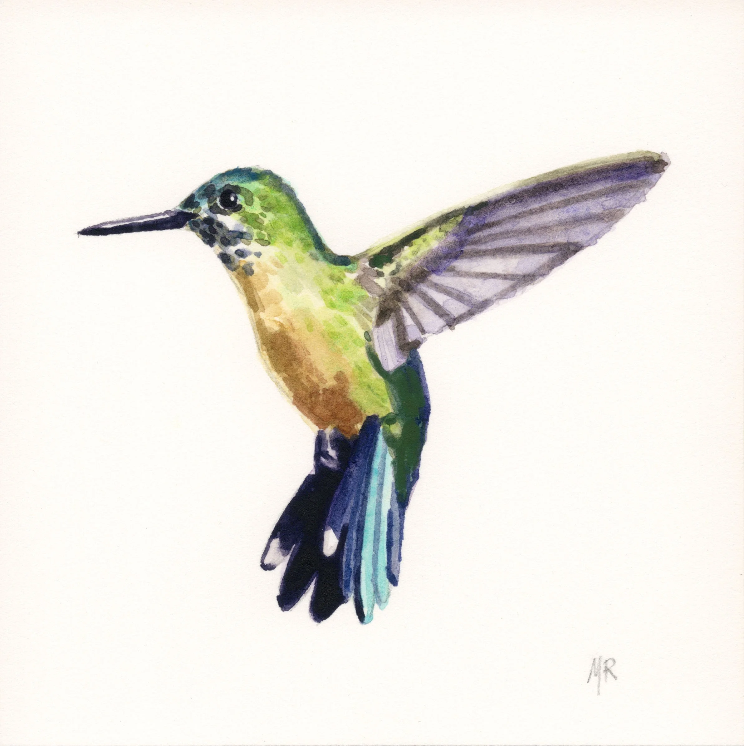 hummingbird_greenedited.jpg