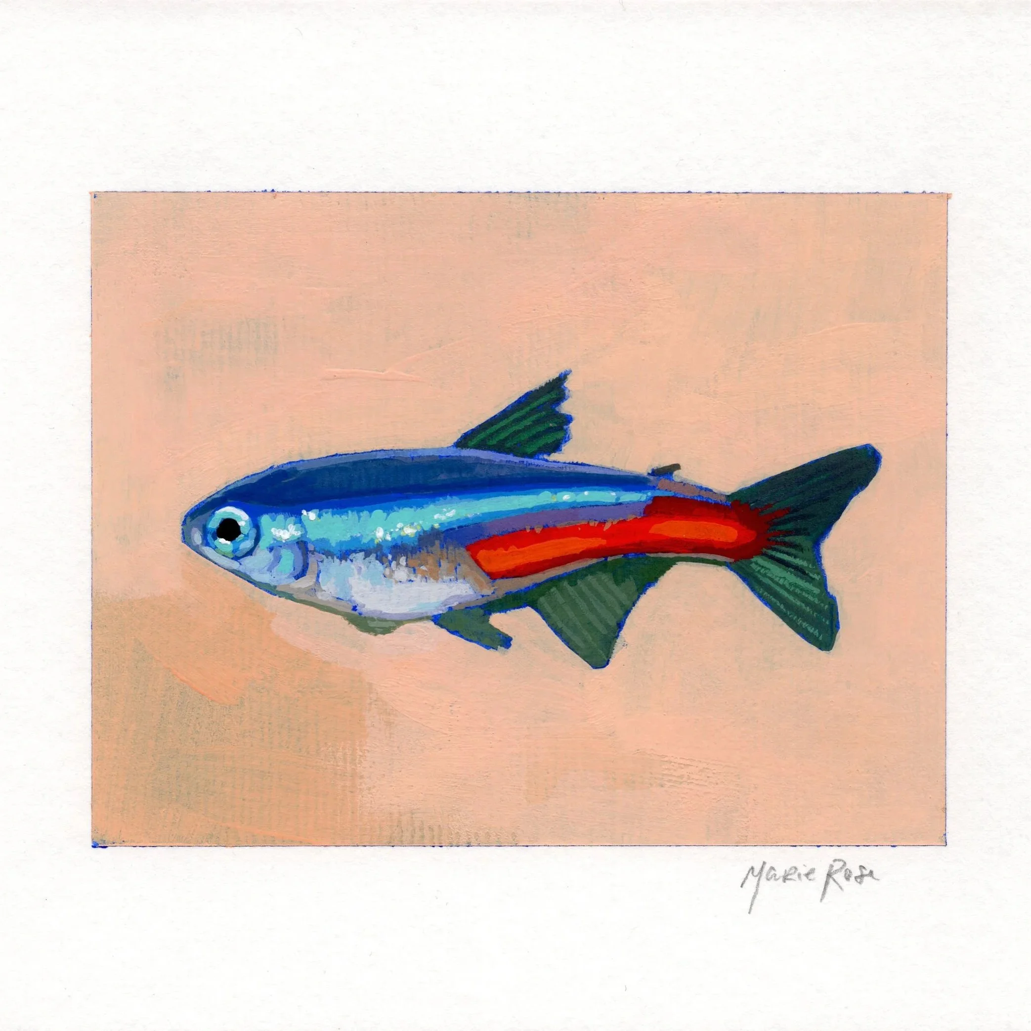 fishy2.jpg