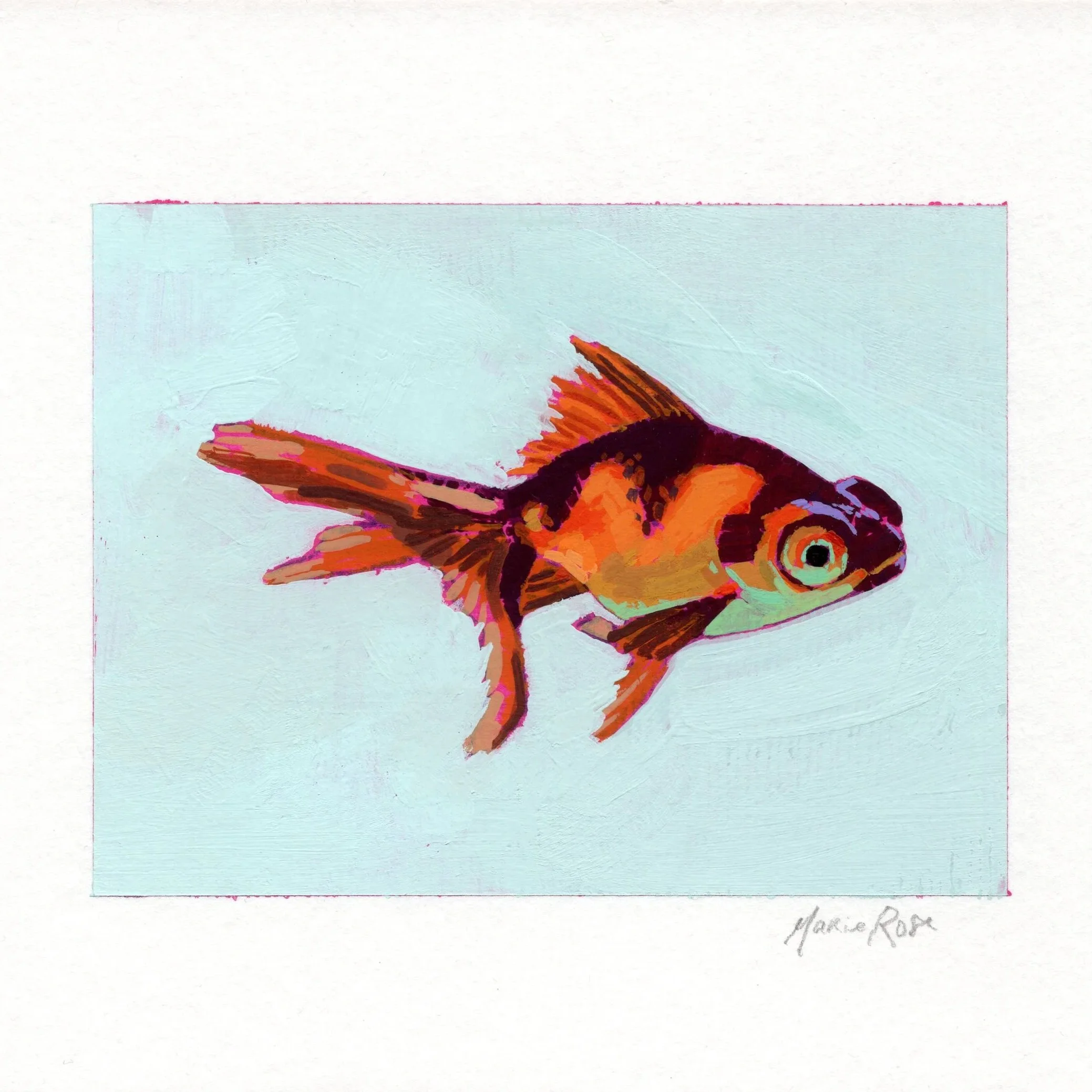 fishy4.jpg