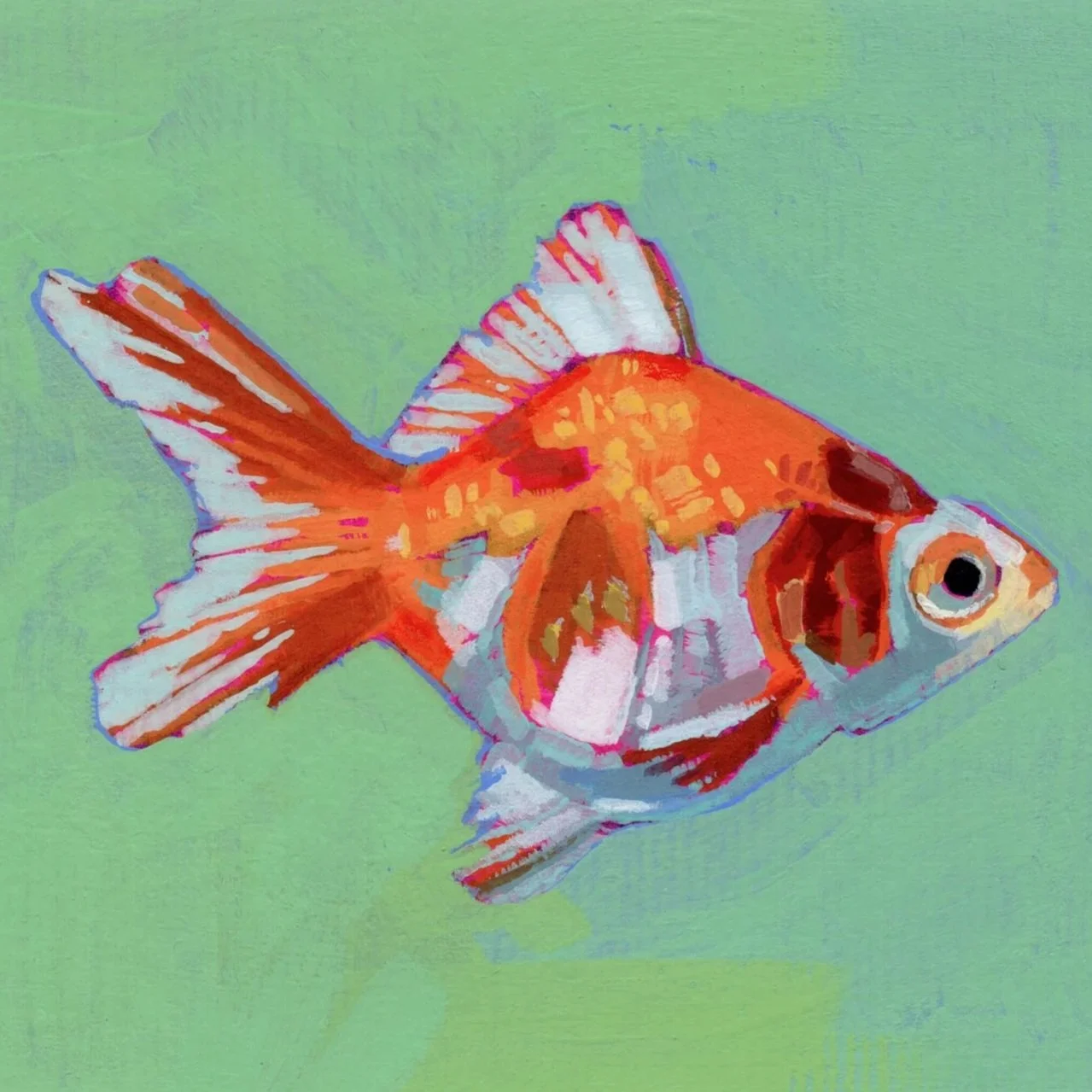 fishy5.jpg