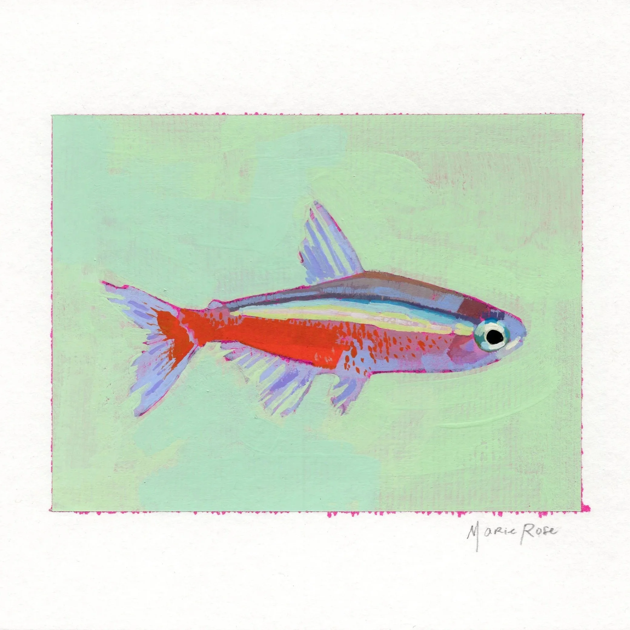 fishy3.jpg