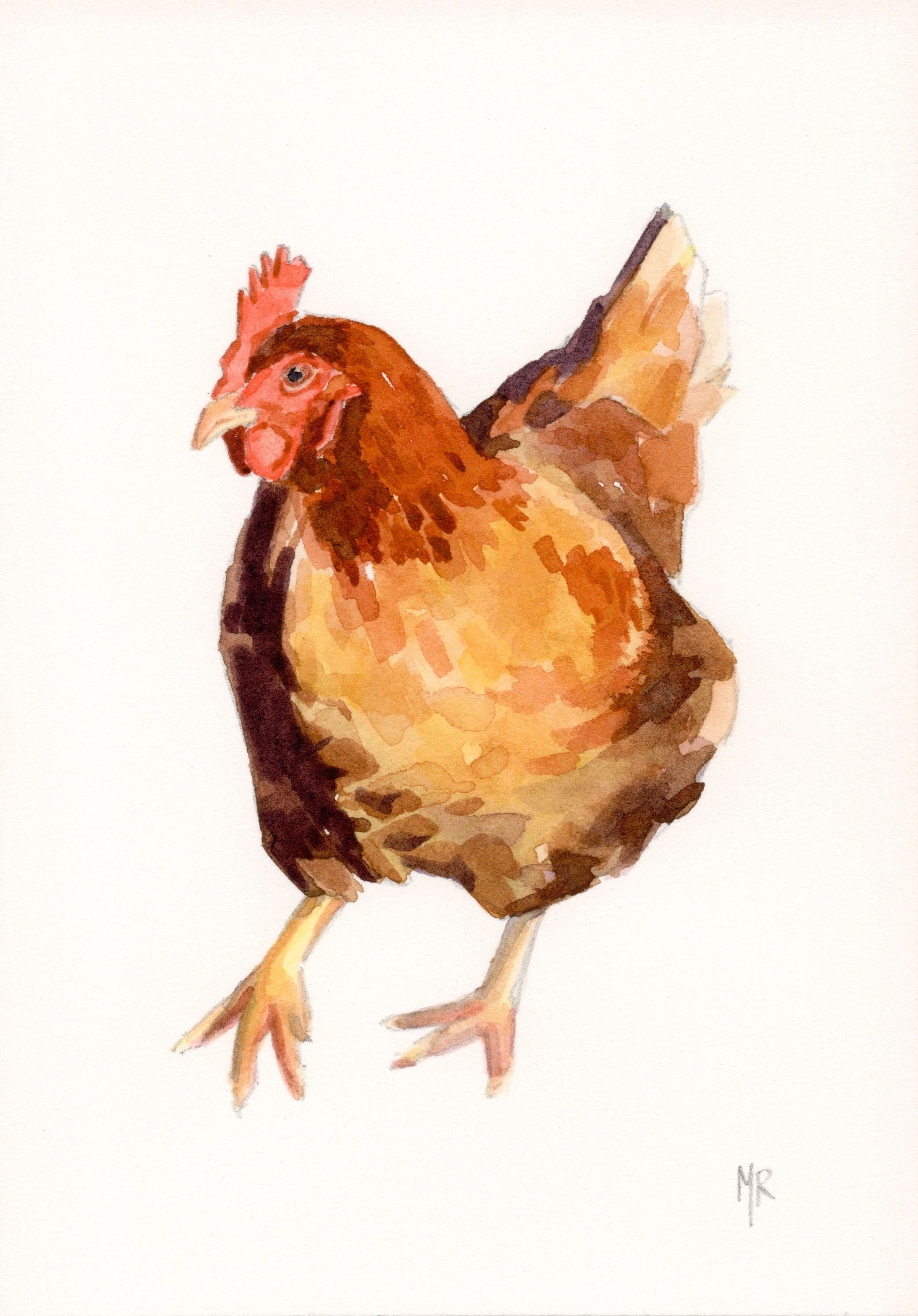 chickenedited.jpg
