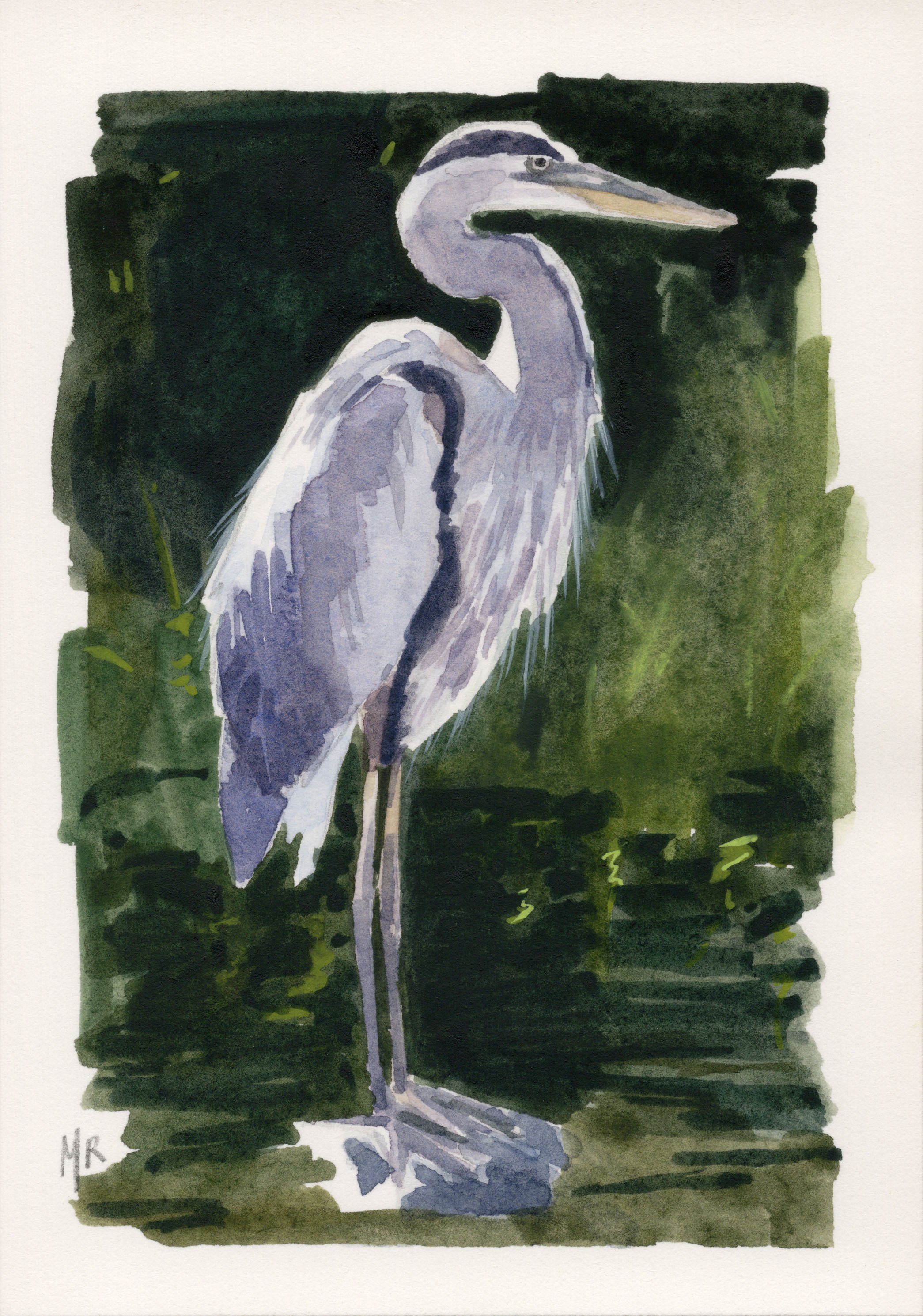 heron.jpg