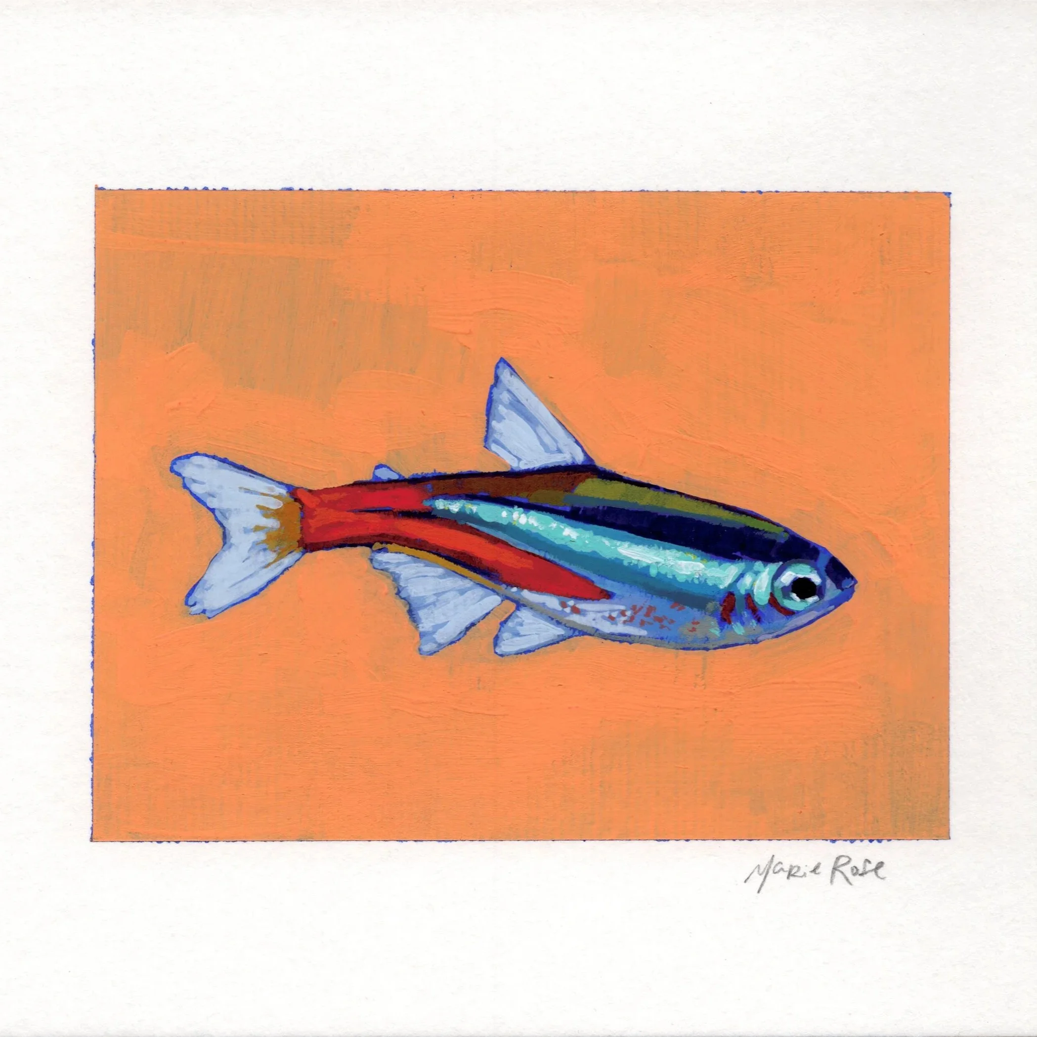 fishy1.jpg
