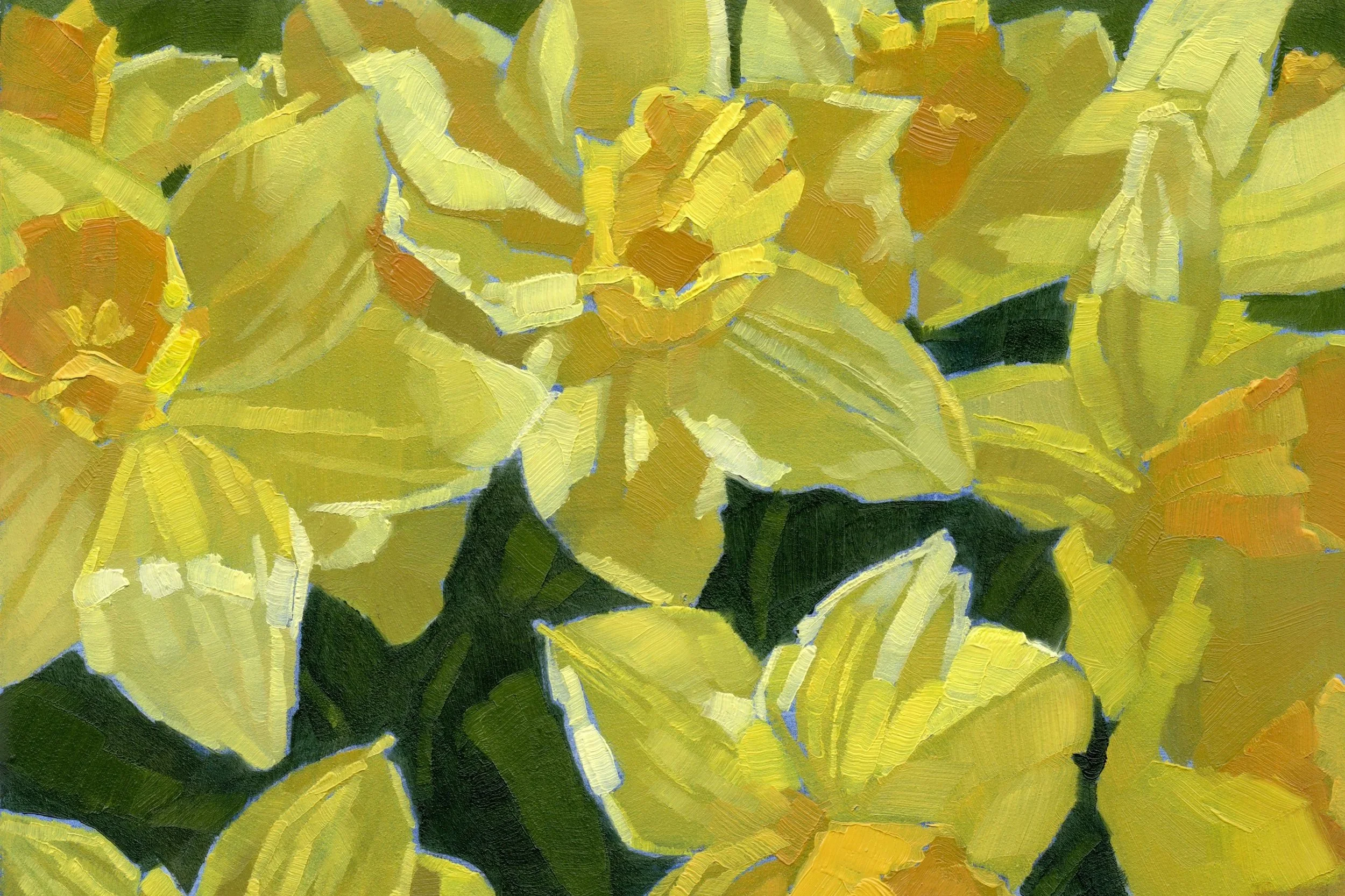 yellowdaffodils.jpg