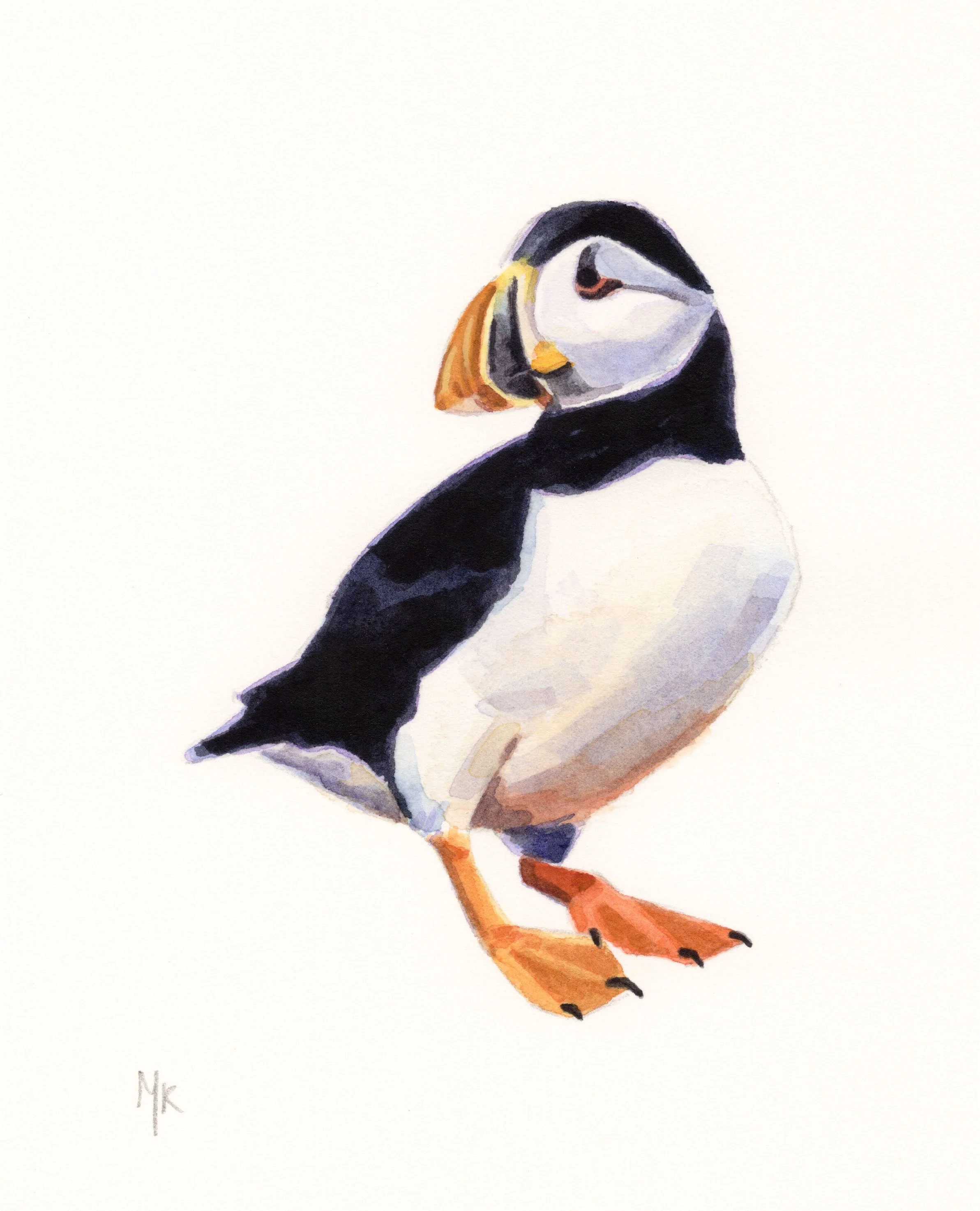 puffinedited.jpg