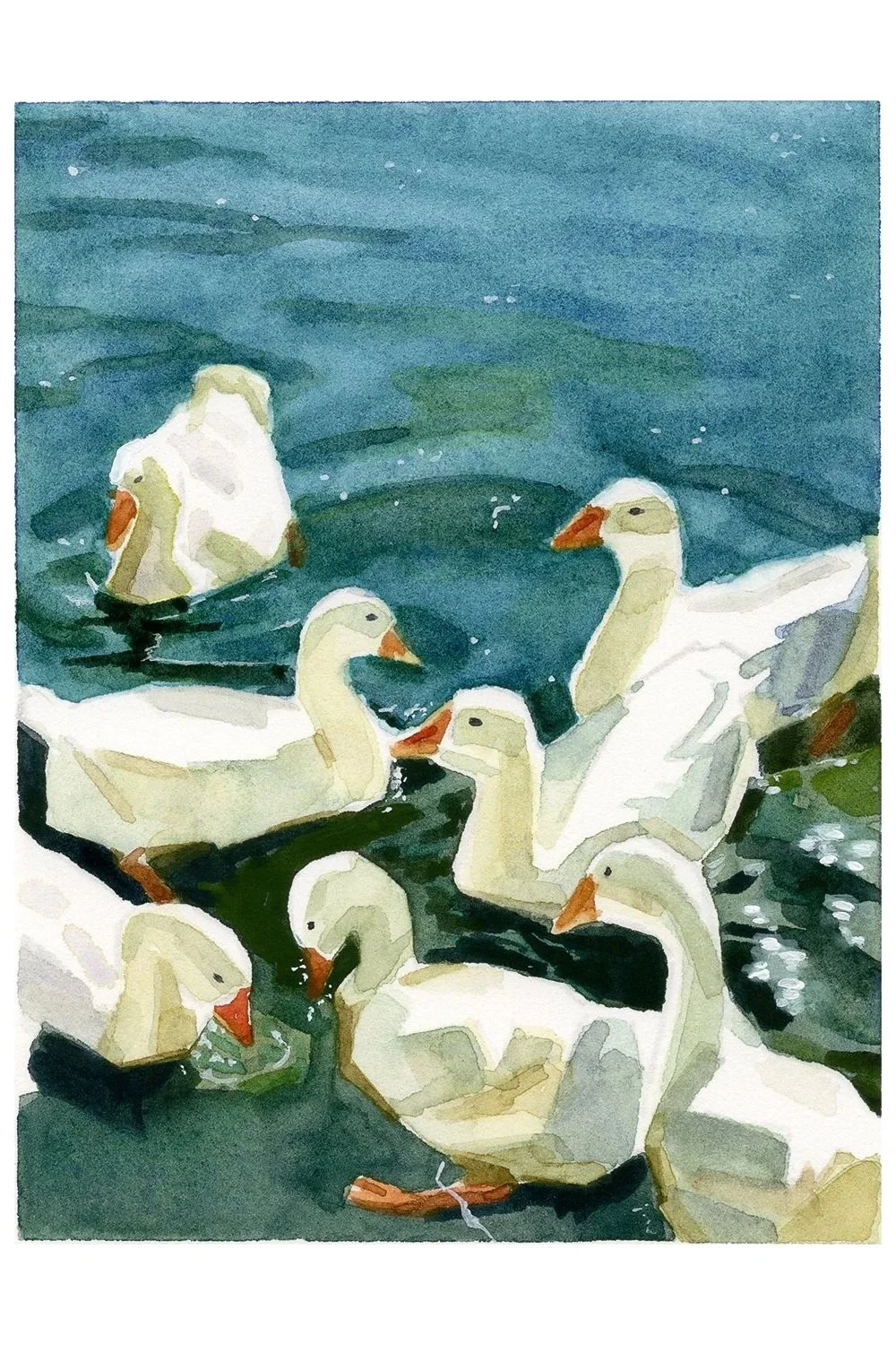 BB_LRP_Ducks.jpg