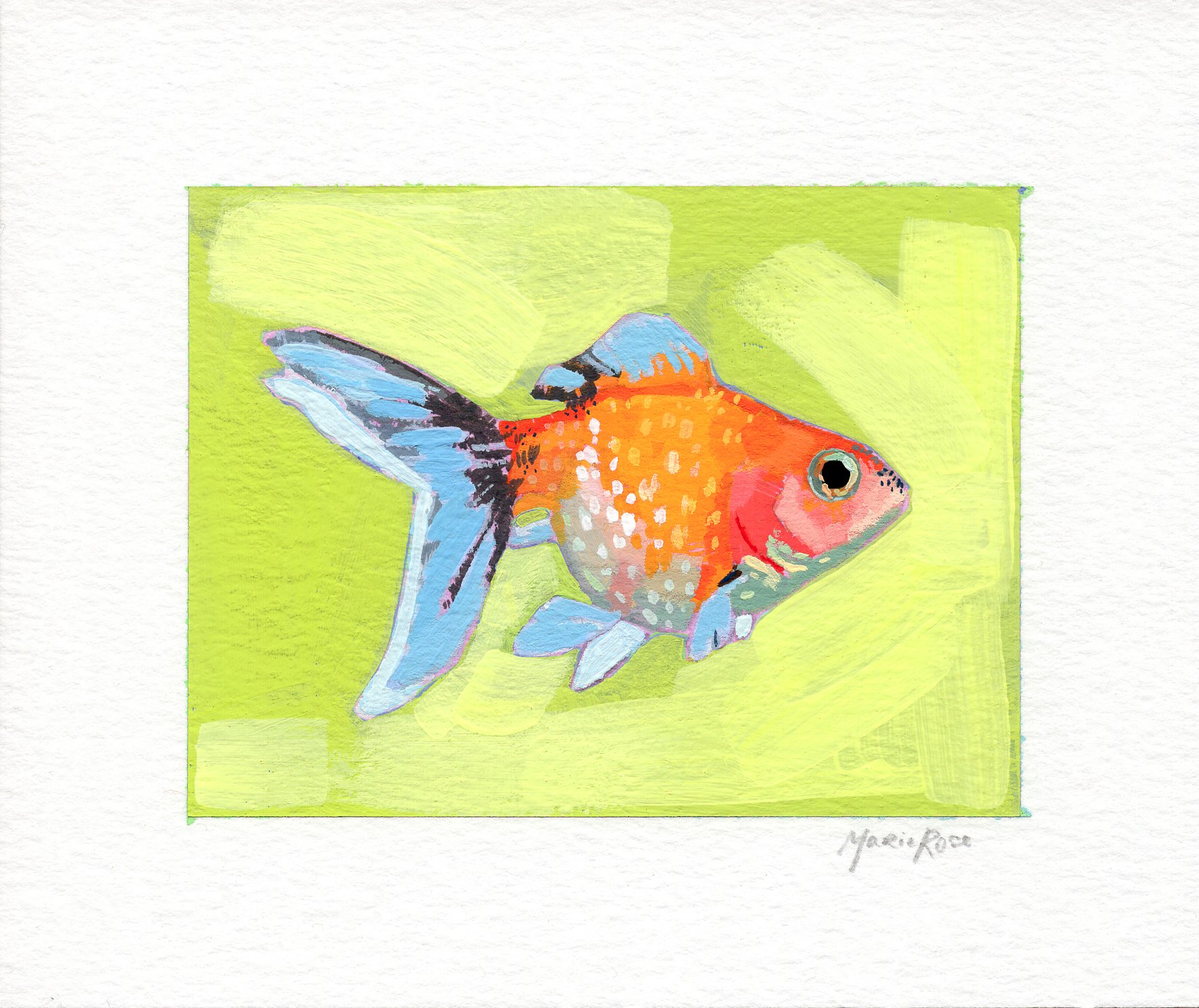 goldfish.jpg