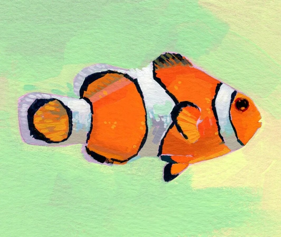 clownfish2.jpg