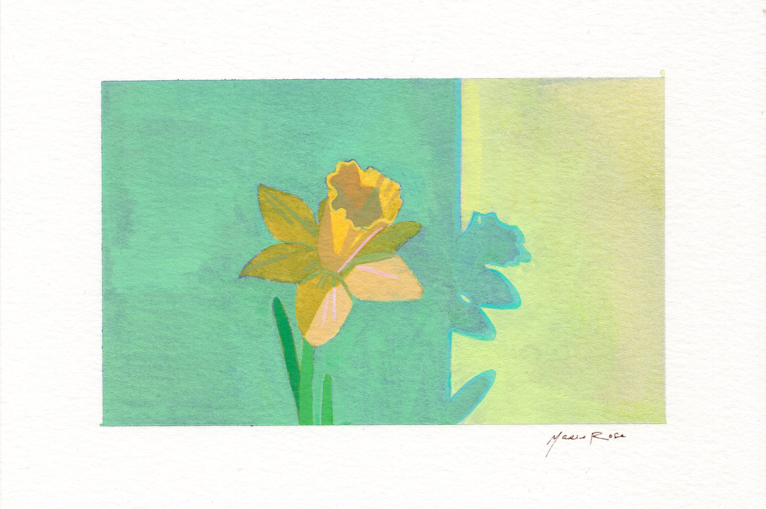 daffodils_no.3.JPG