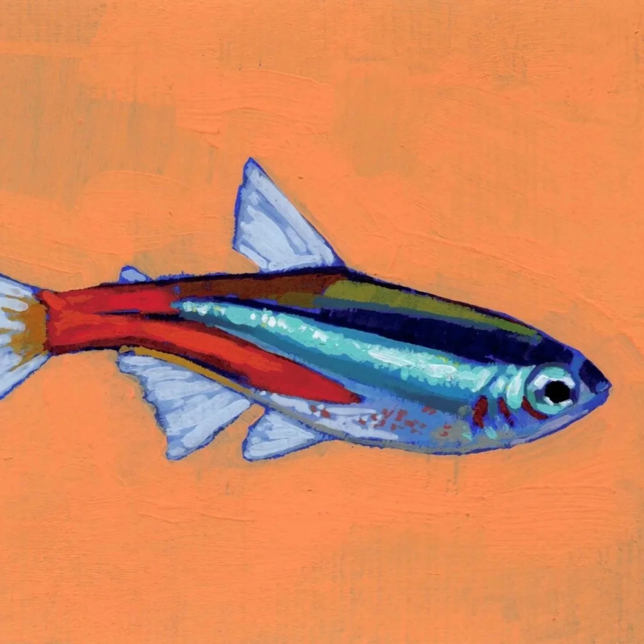 fishy1.jpg