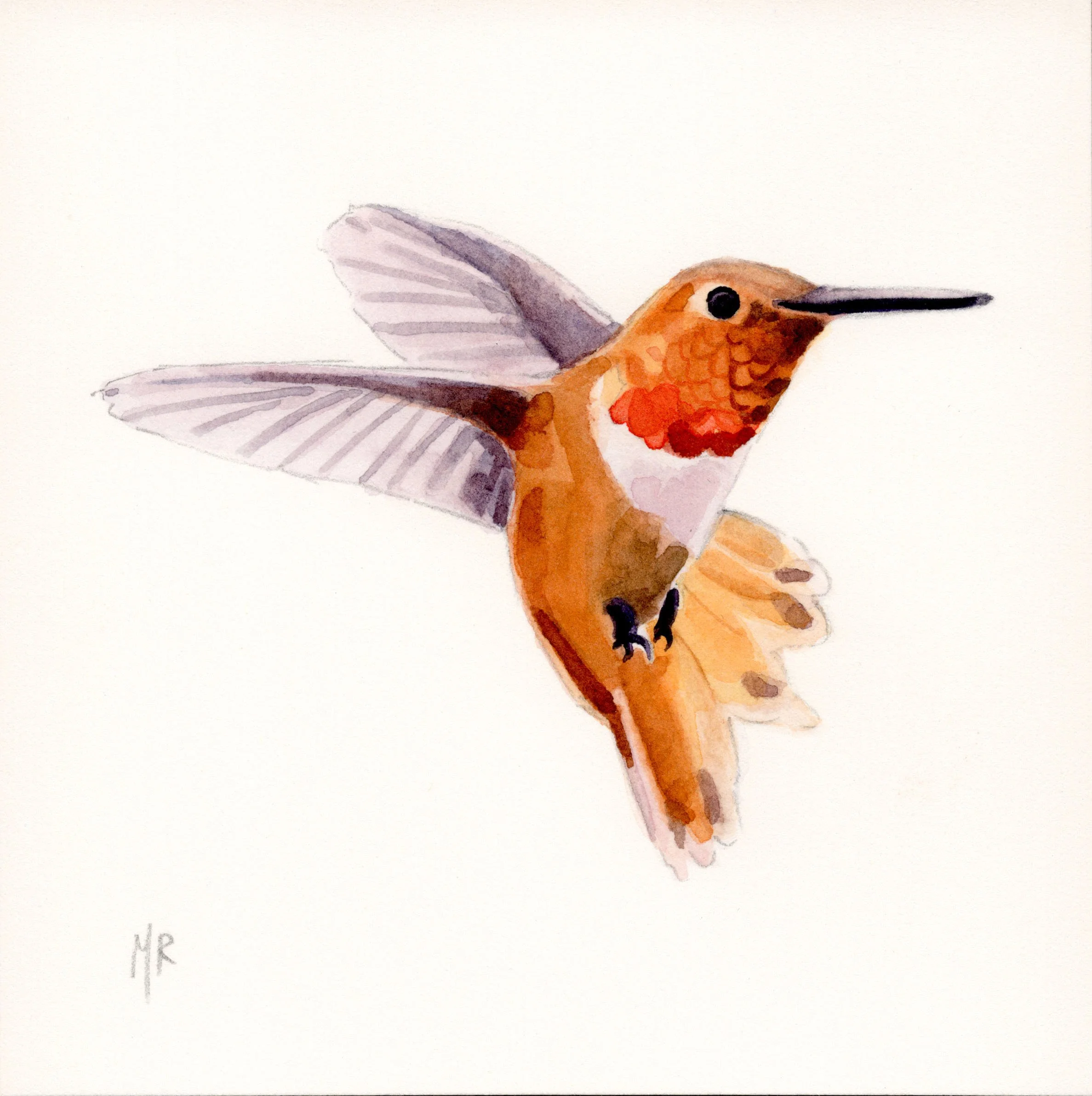 hummingbird_orangeedited.jpg