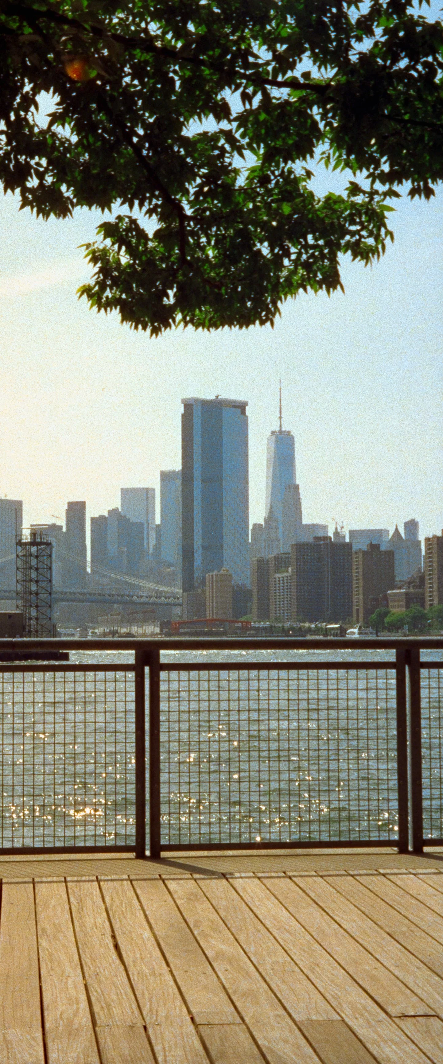 DSC05372-4 Cinestill 80035MM_20260730_EXPORTS.jpg